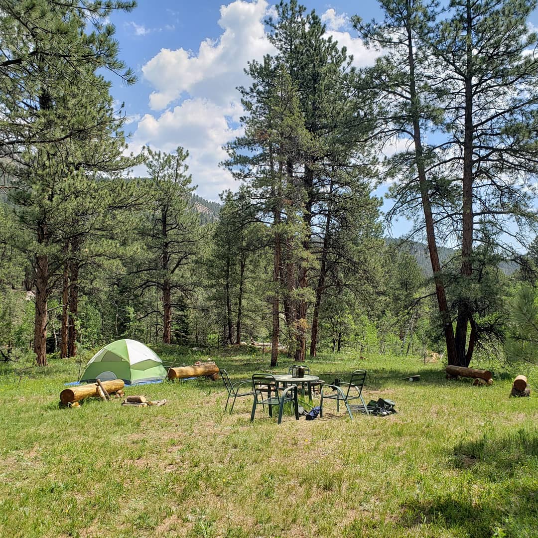 Wild Rose camping spot