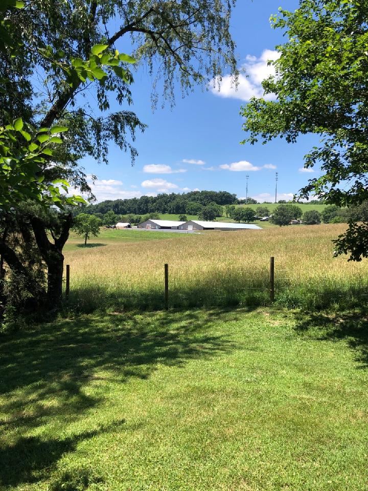 Beautiful day on the farm