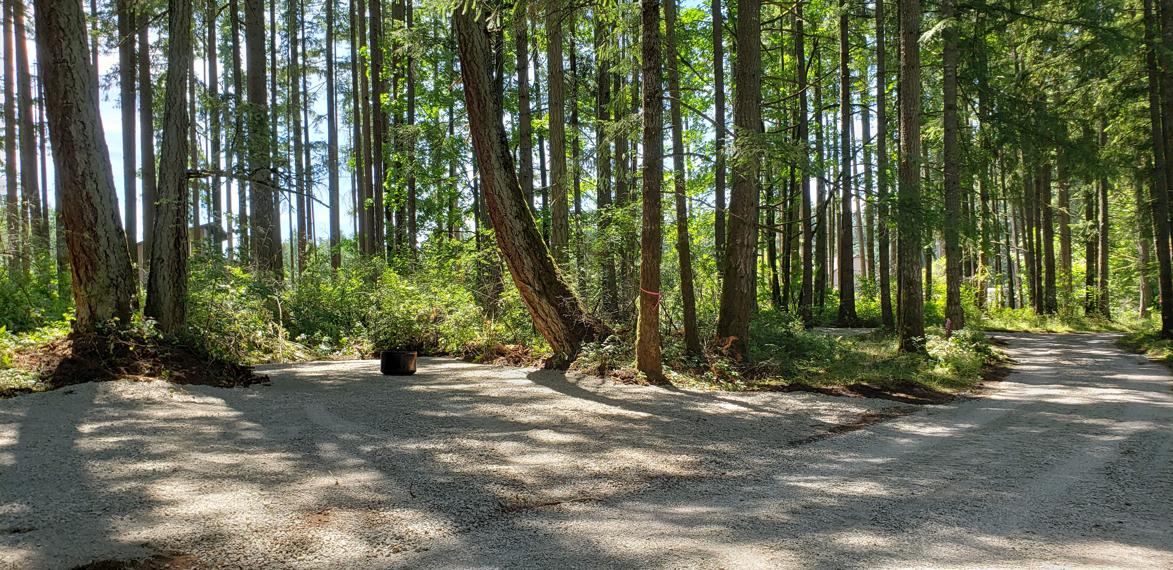 Access drive to campsite