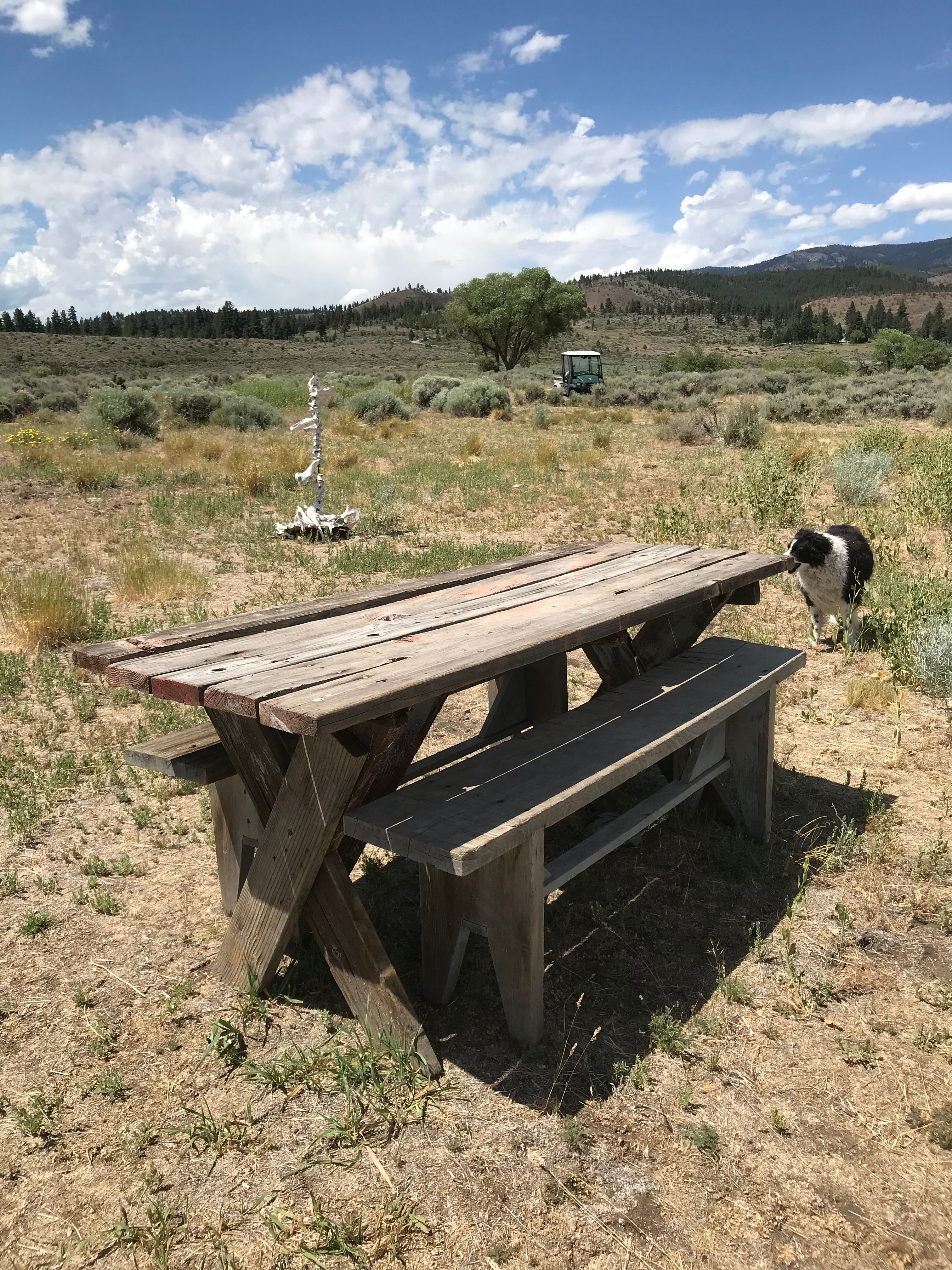 Flyte and Sparrow natural interlude