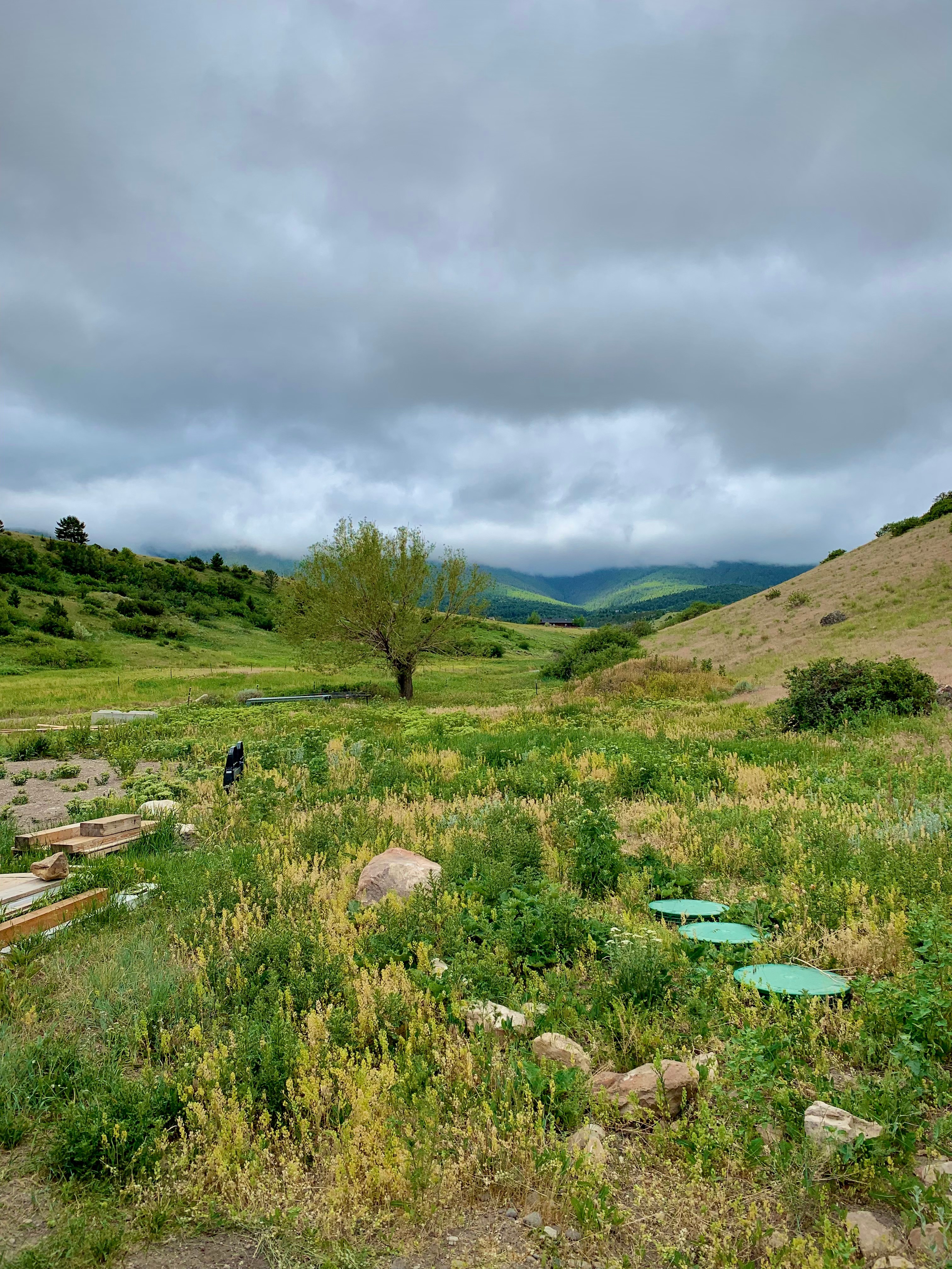 Watching a storm roll in from the door of the camper!