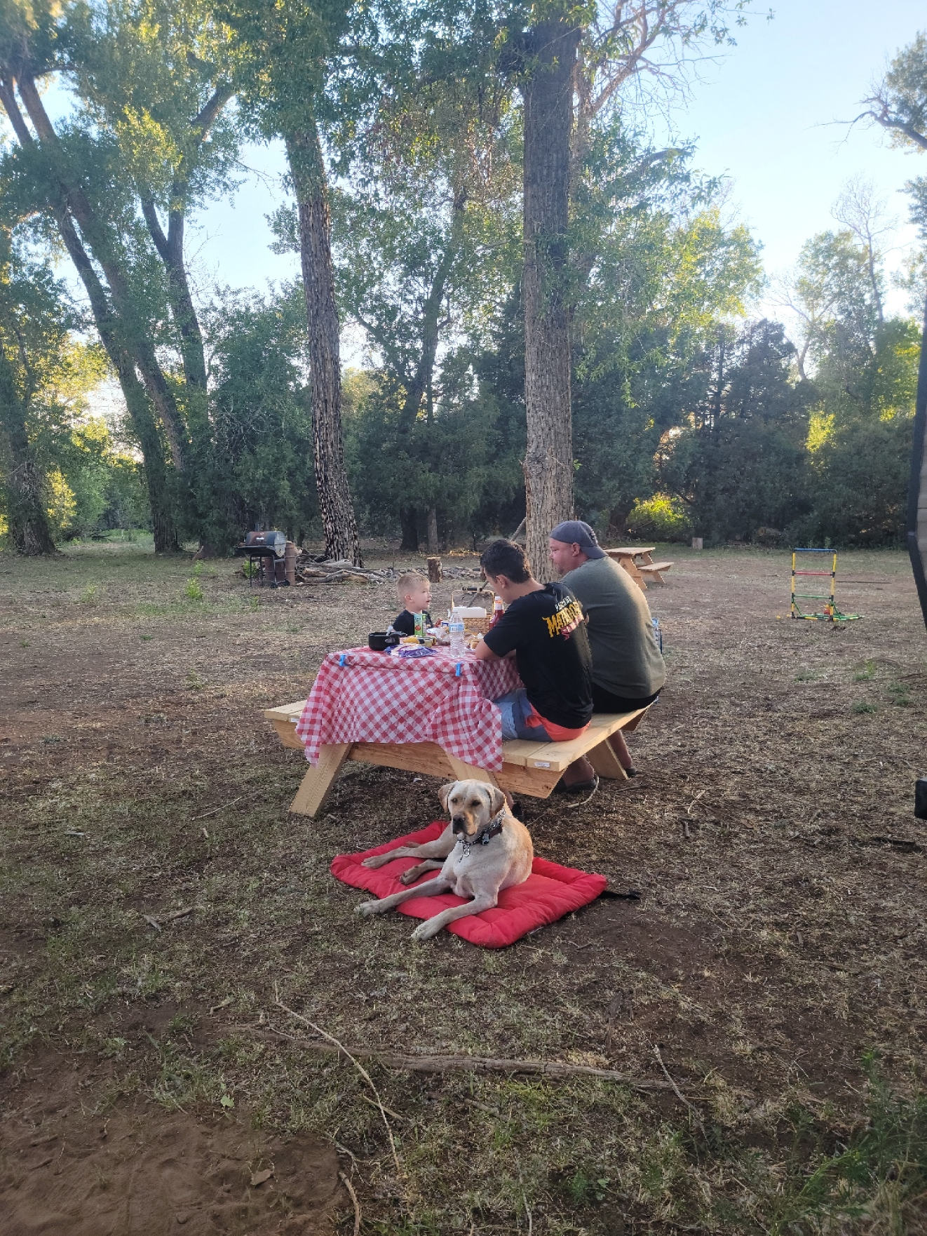 Tranquility @ The Farm