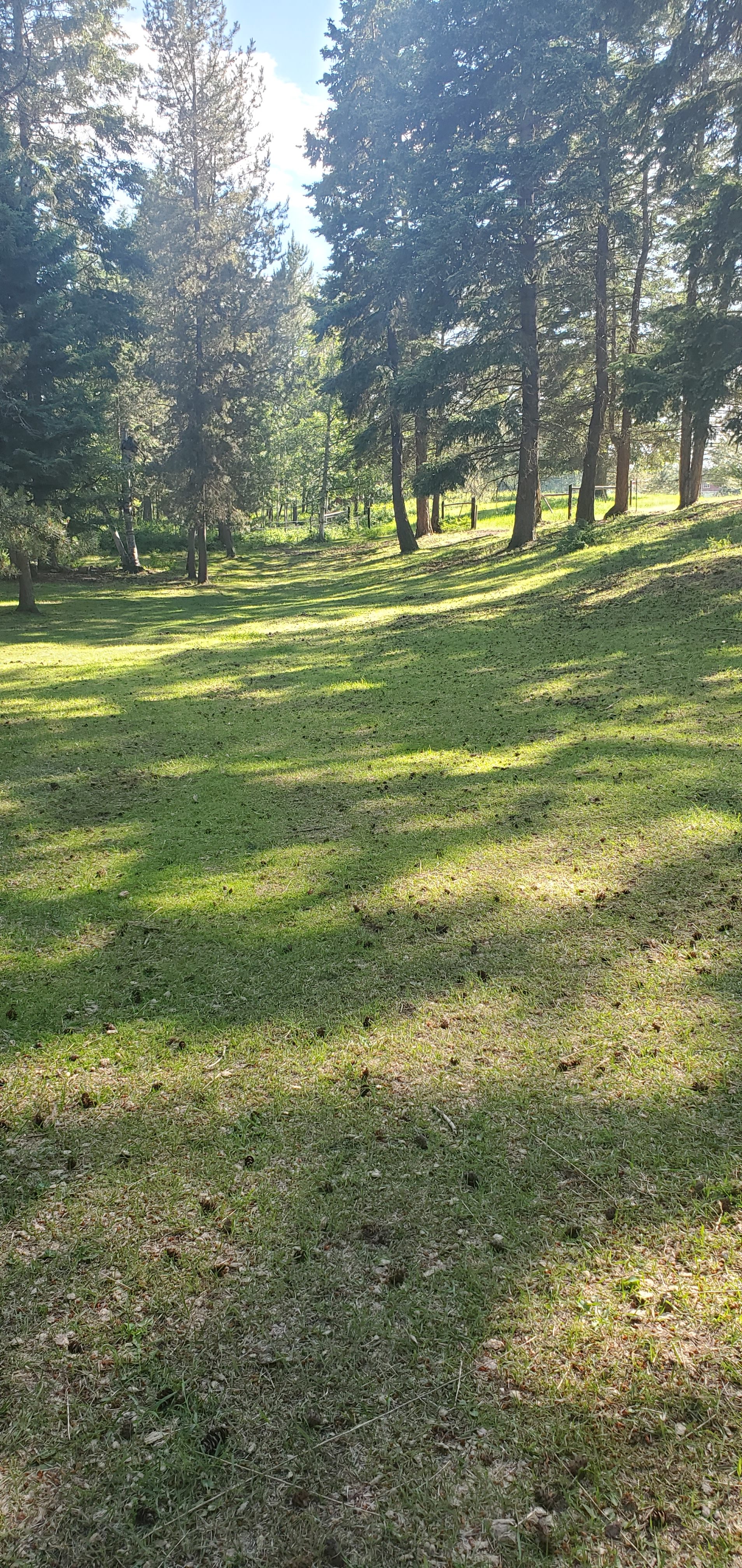 Mountain Shadow Ranch