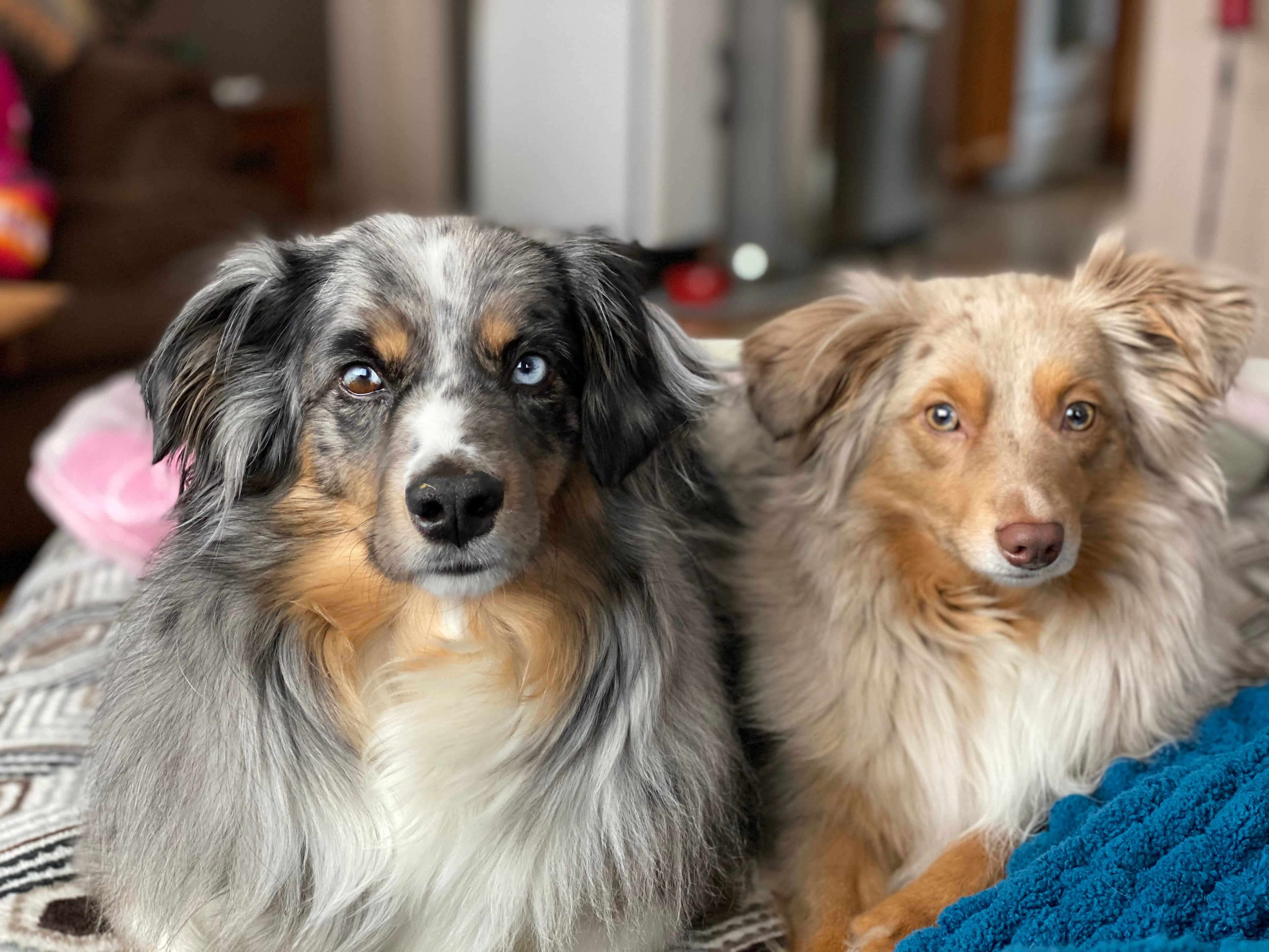 Peaceful Mission Mountain Paradise