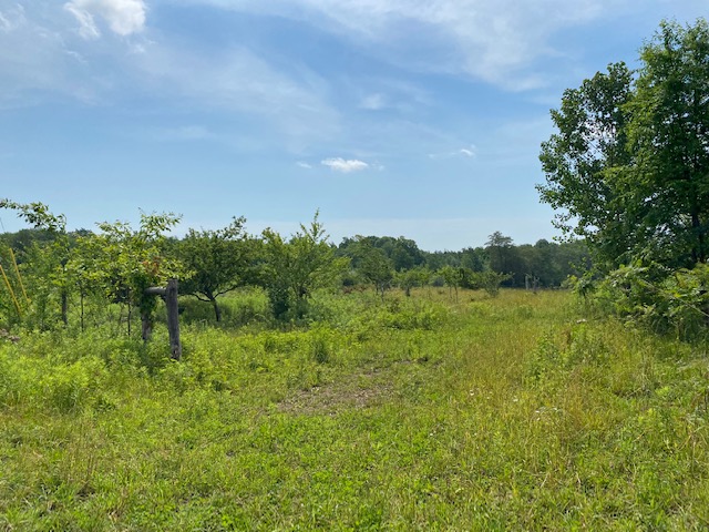 Sterling Springs Farm