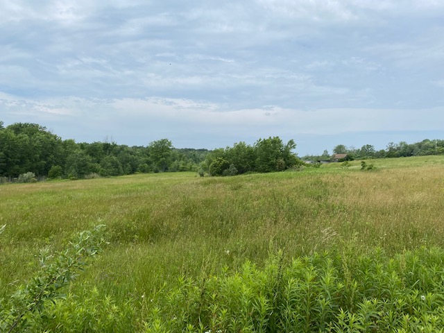 Sterling Springs Farm
