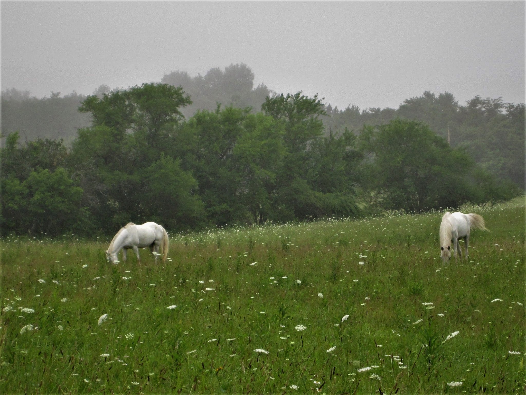 Away From The World Farm