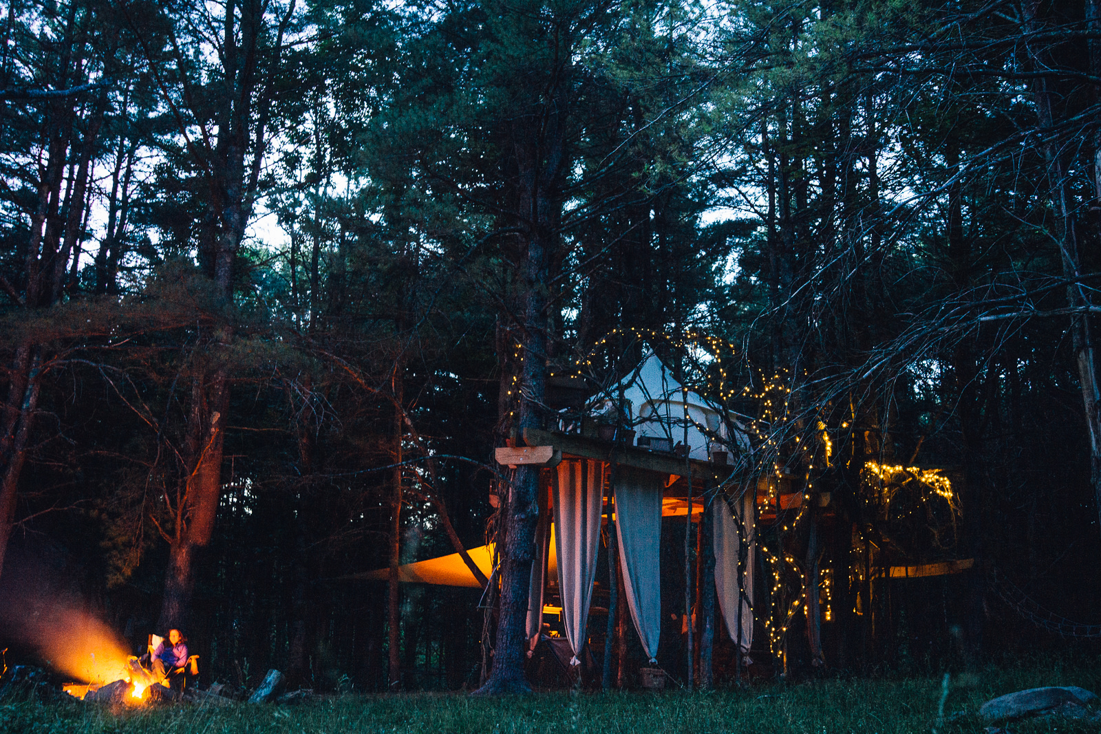 At night, the faerie lights made the trees dreamy