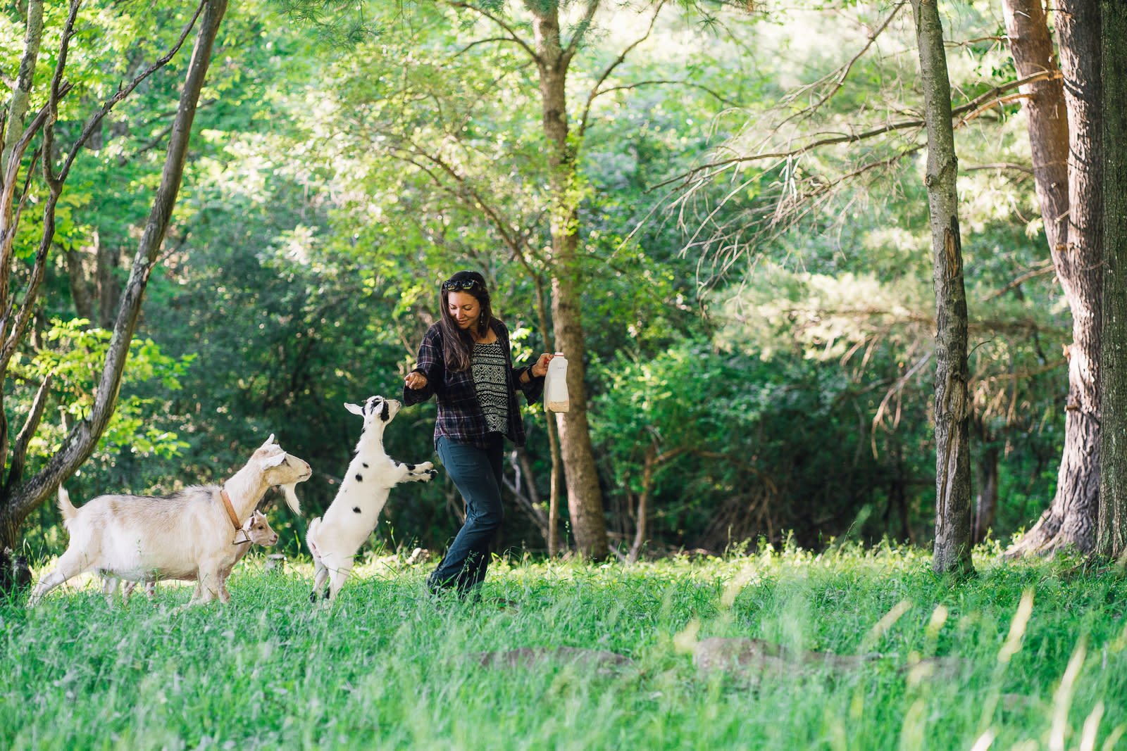 Hanging with the goats