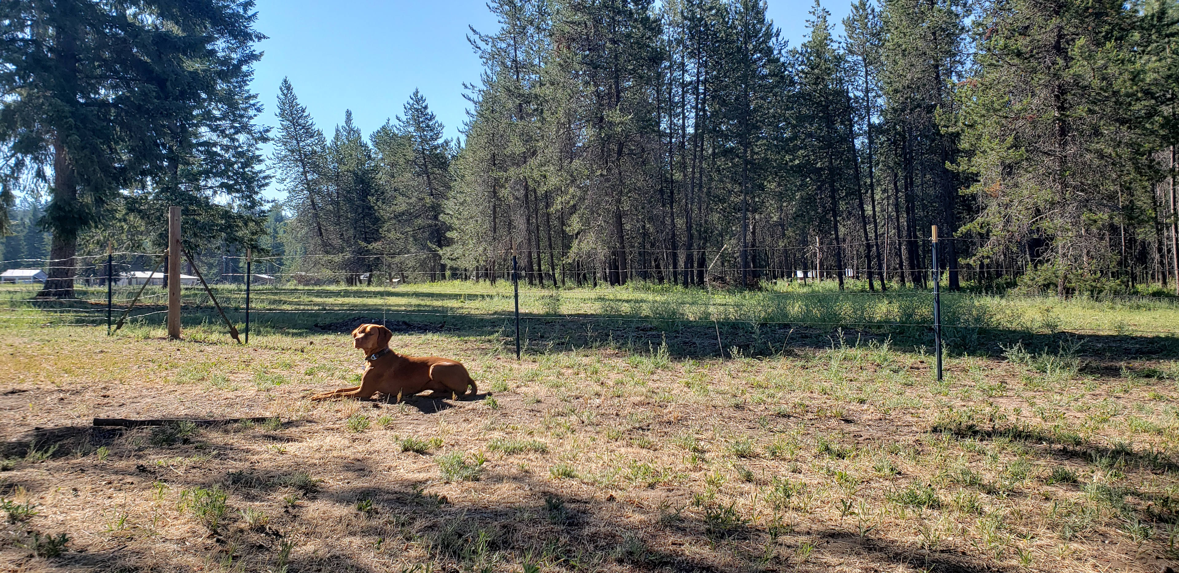 Flicker's Roost RV Site