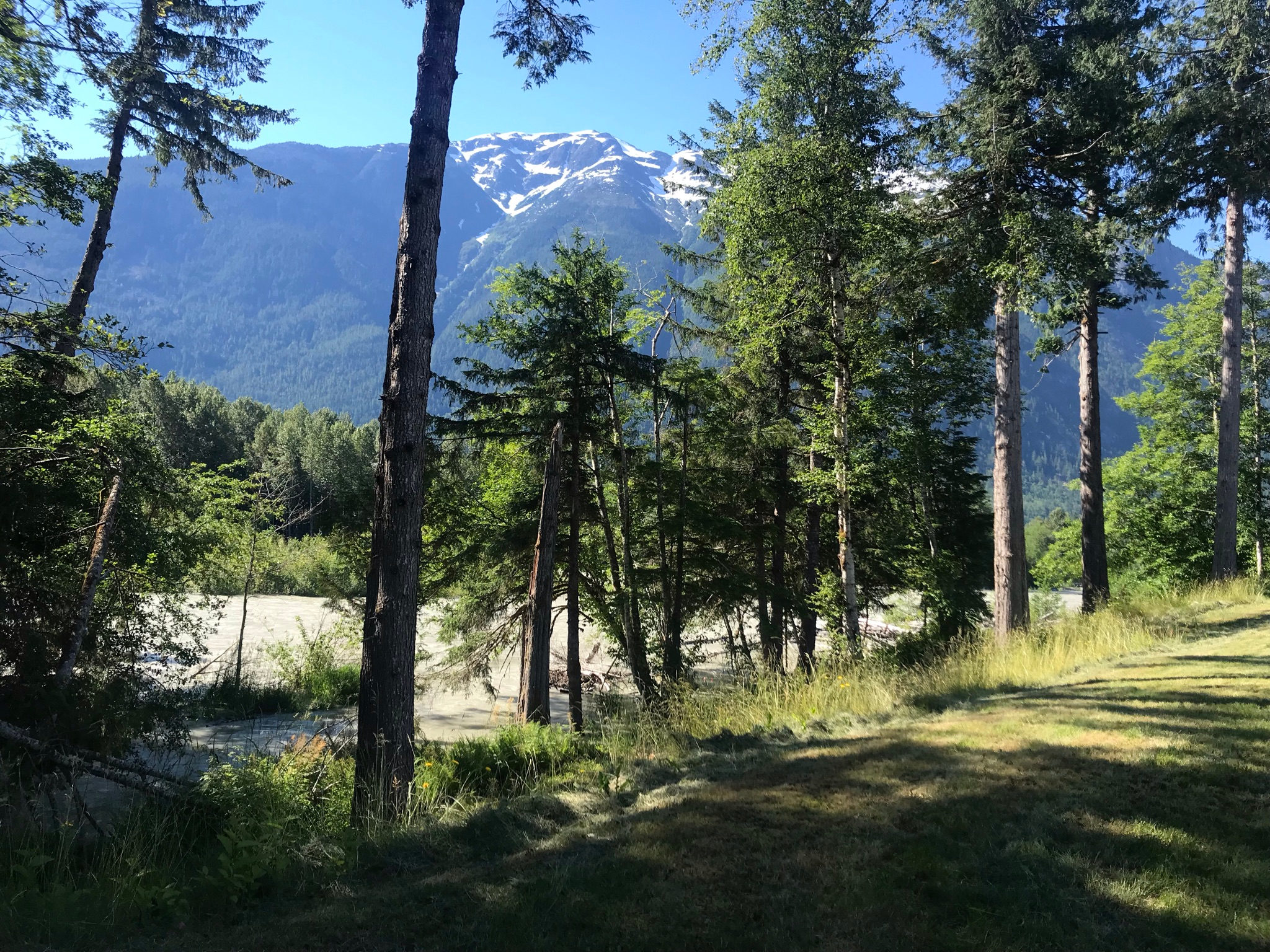 Views from the south side of the cleared bench, looking down the side trail from the bench to the rustic riverside trail below.