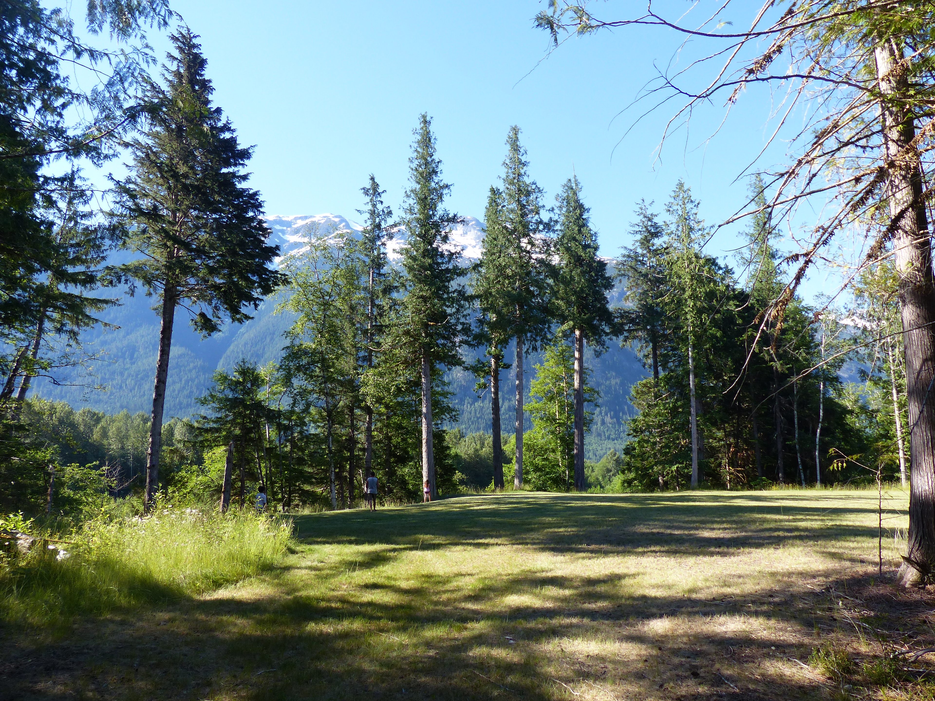 Main cleared area for camping atop high bench overlooking the Bella Coola River.
