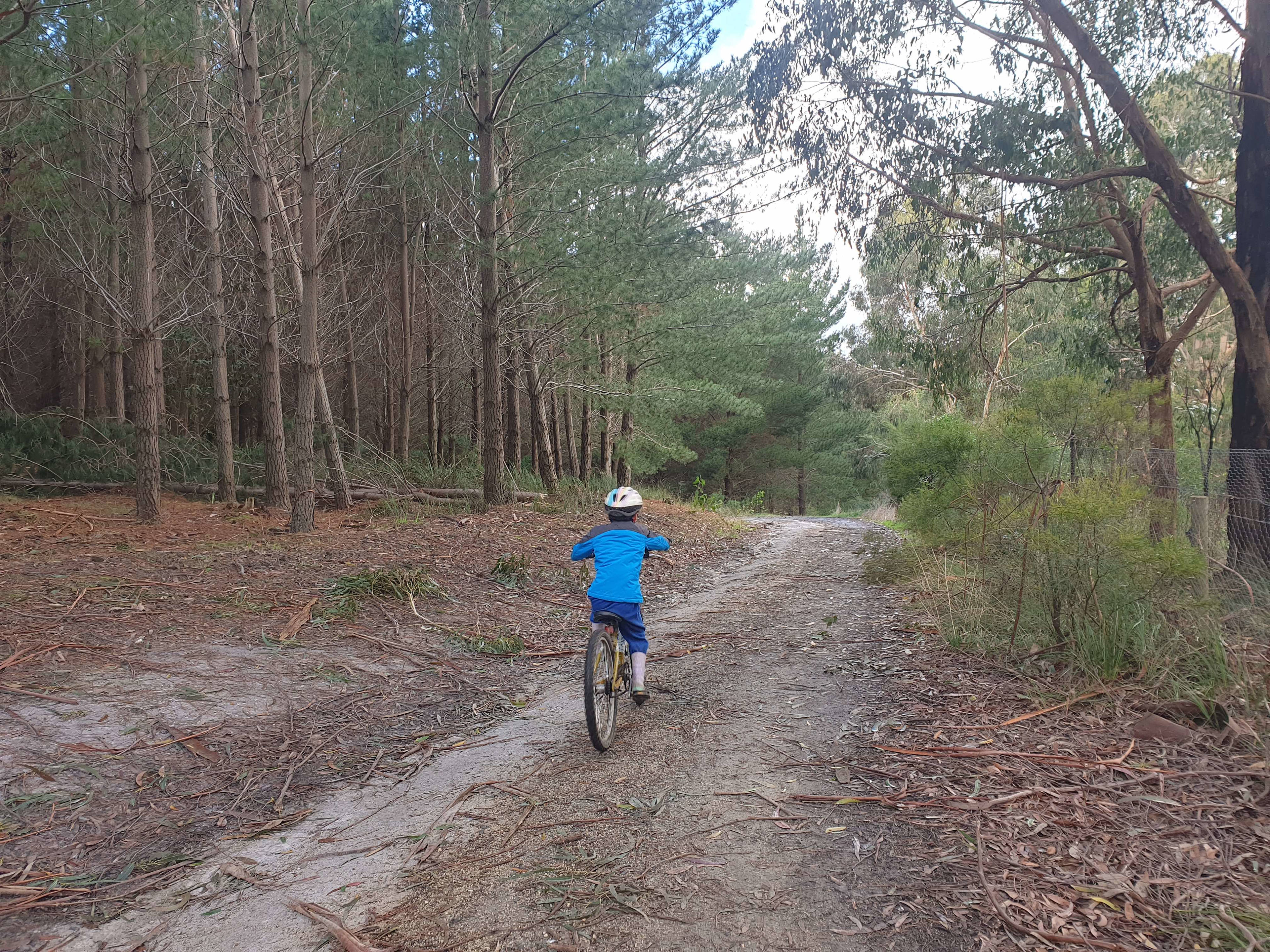 Many kilometres of incredible up and down mountain biking opportunities