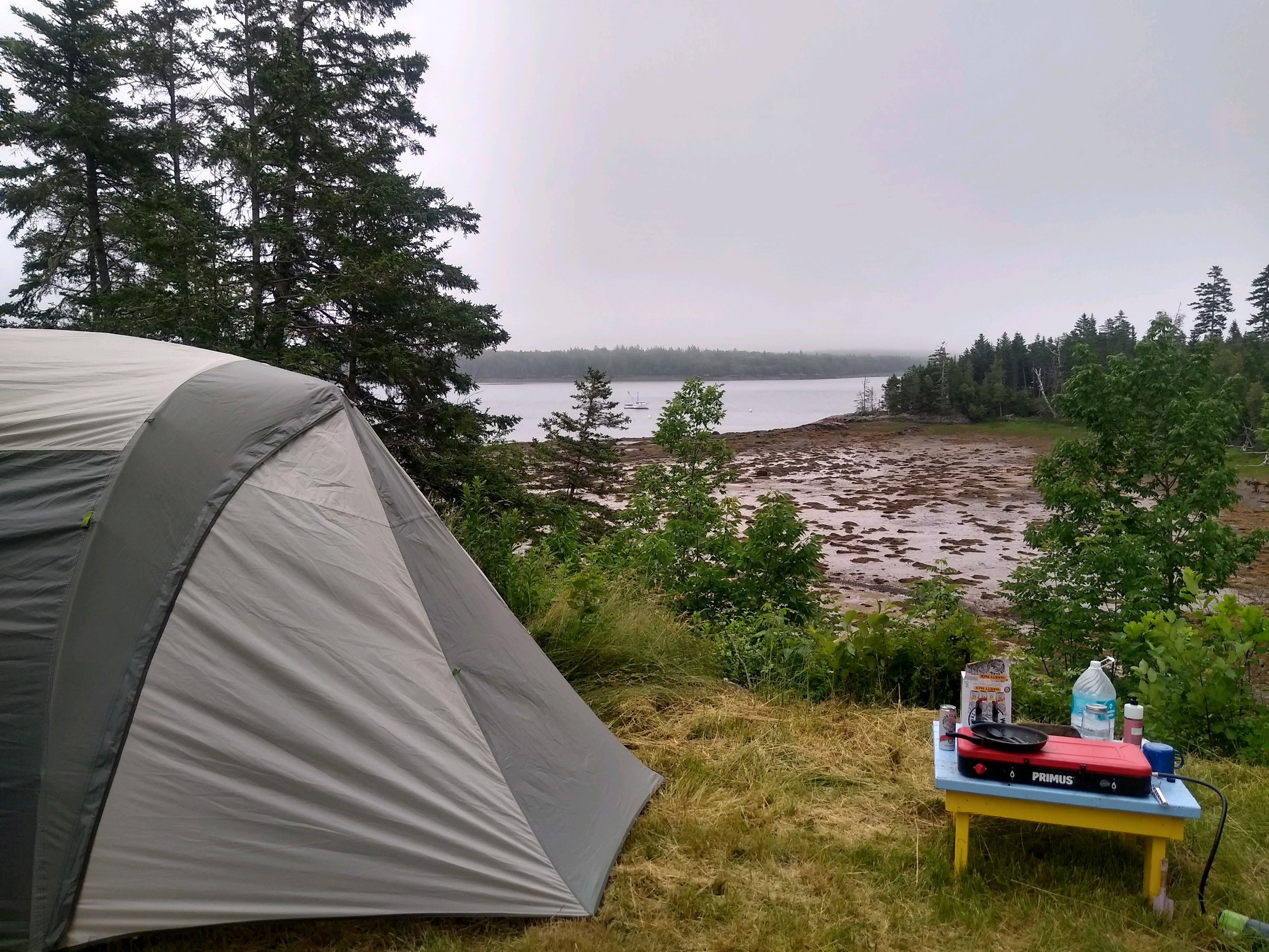 Site #5