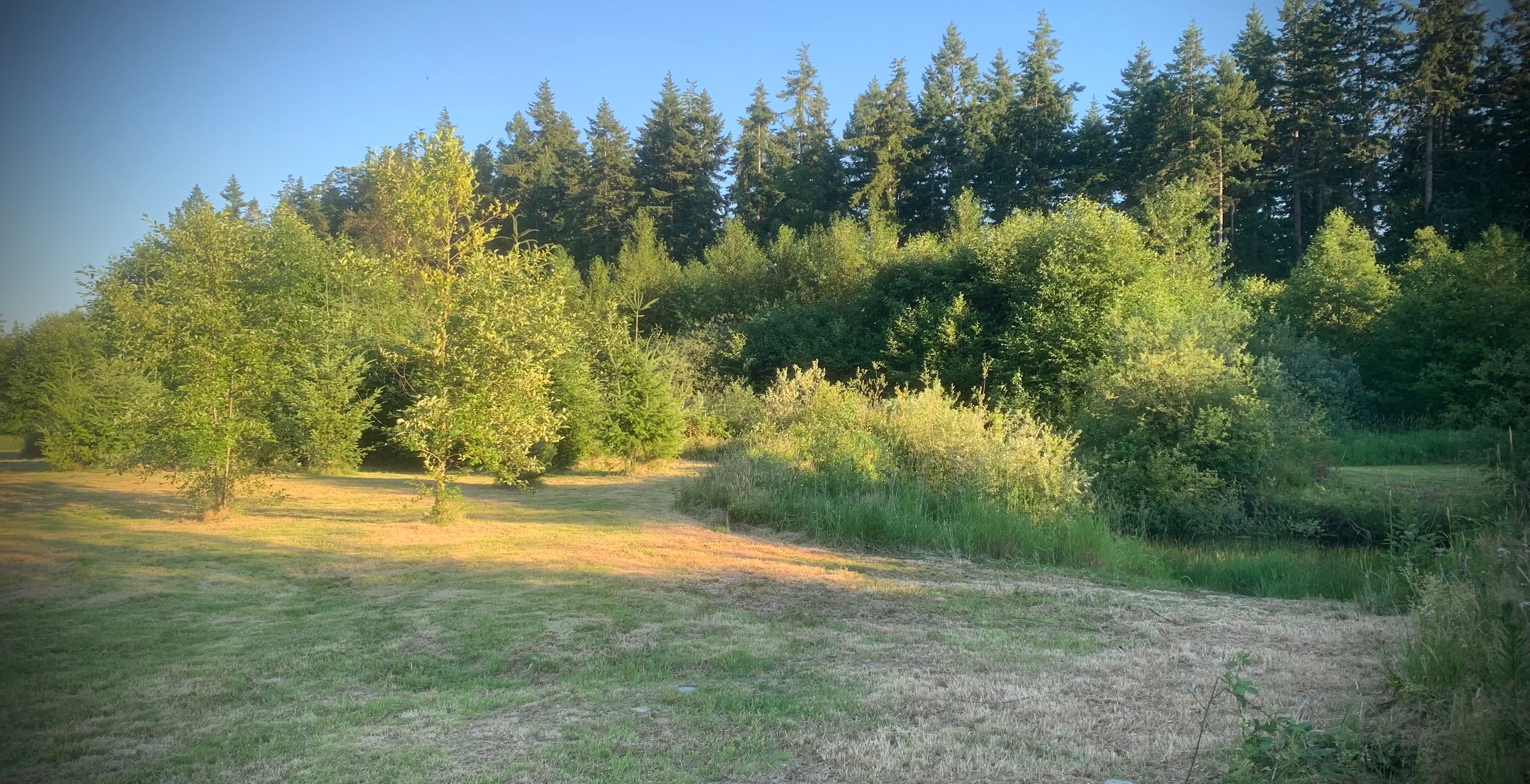 Field Sites & Secluded Tent Sites