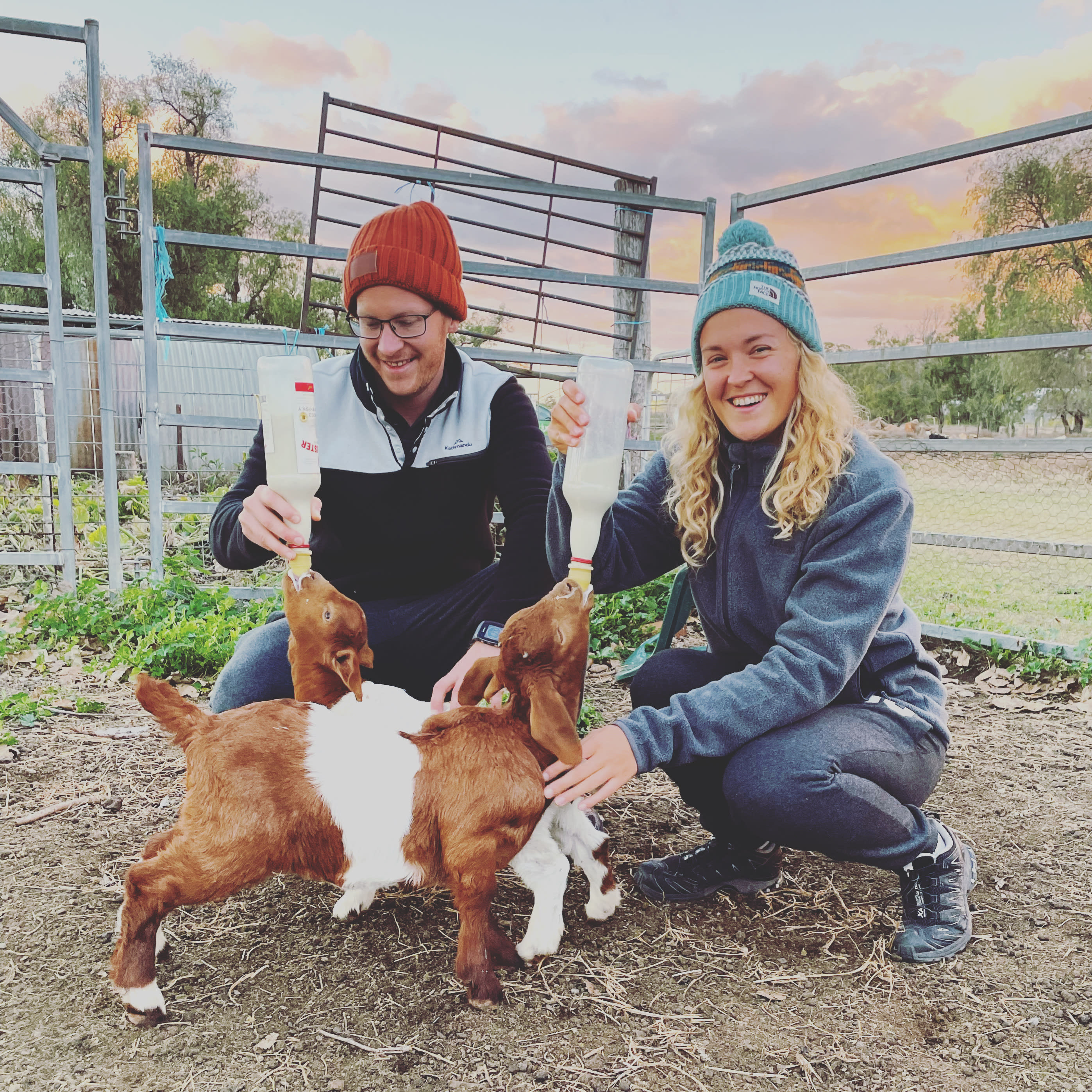 Chookhouse Farmstay Vale View