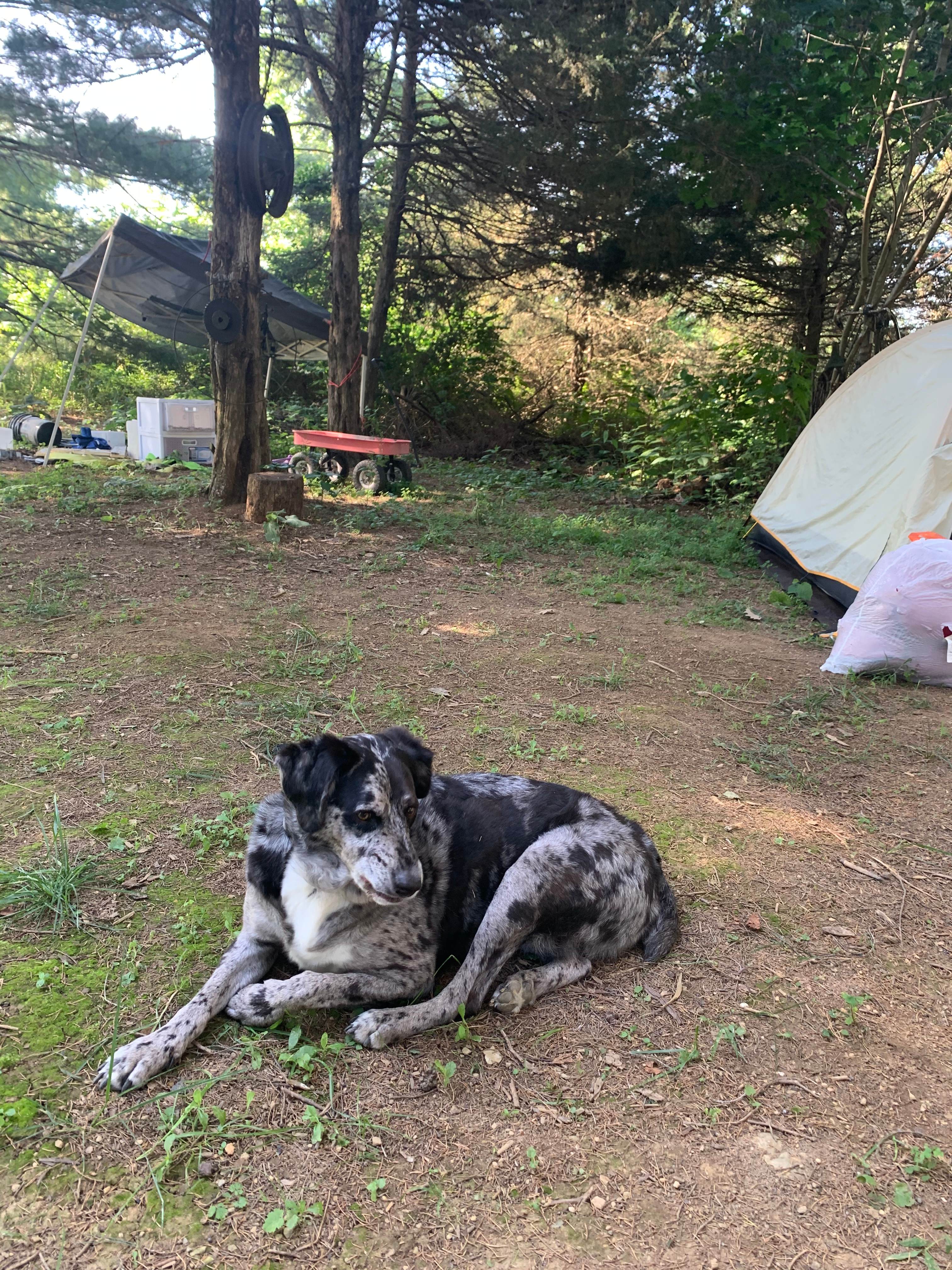 Hawk Nest Mushroom Farm