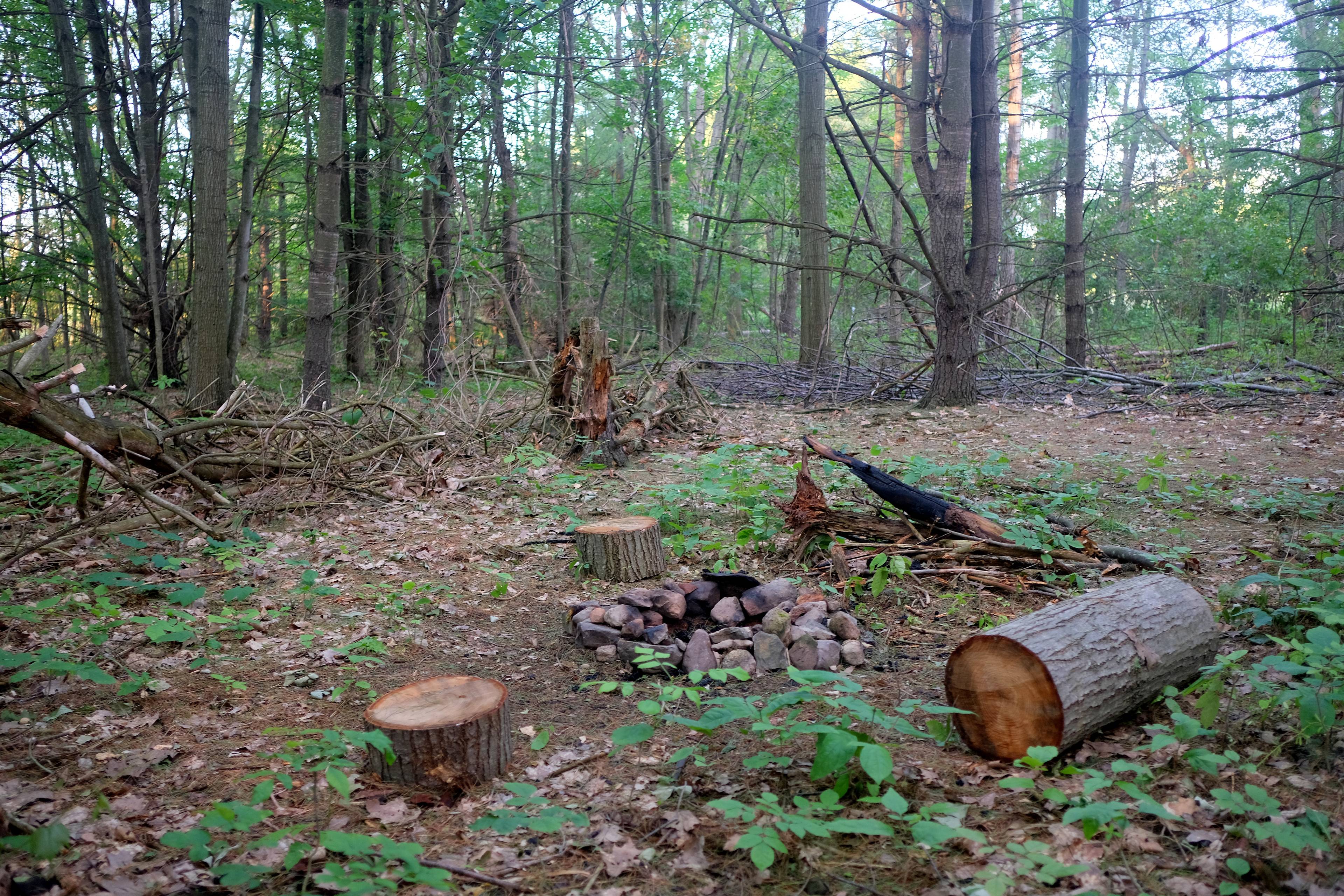 The campsite includes a fire ring, logs for sitting, and multiple flat spots on which to set up your tent. There are plenty of places to set up a hammock as well.