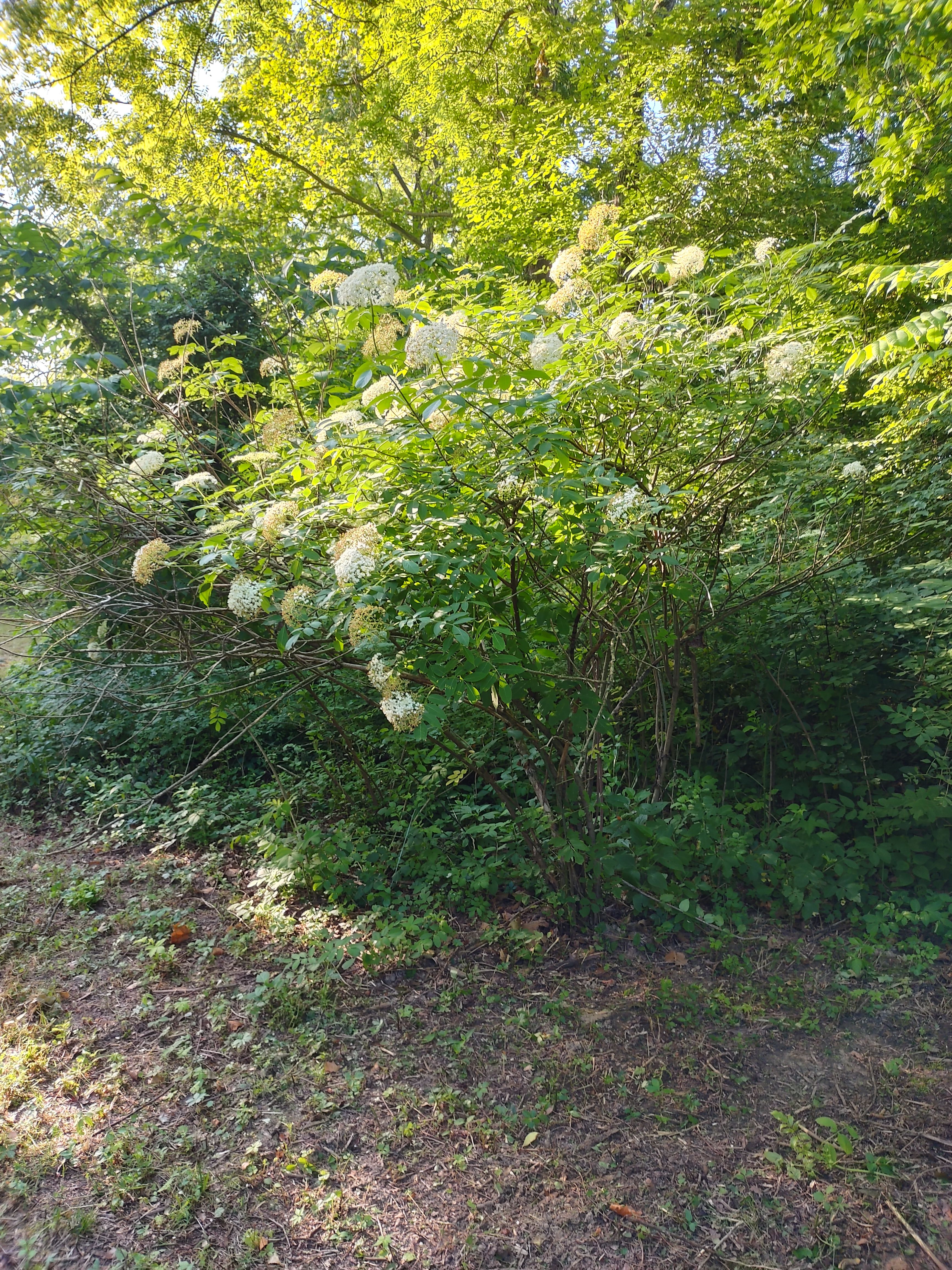 Fairhaven Farm Campground
