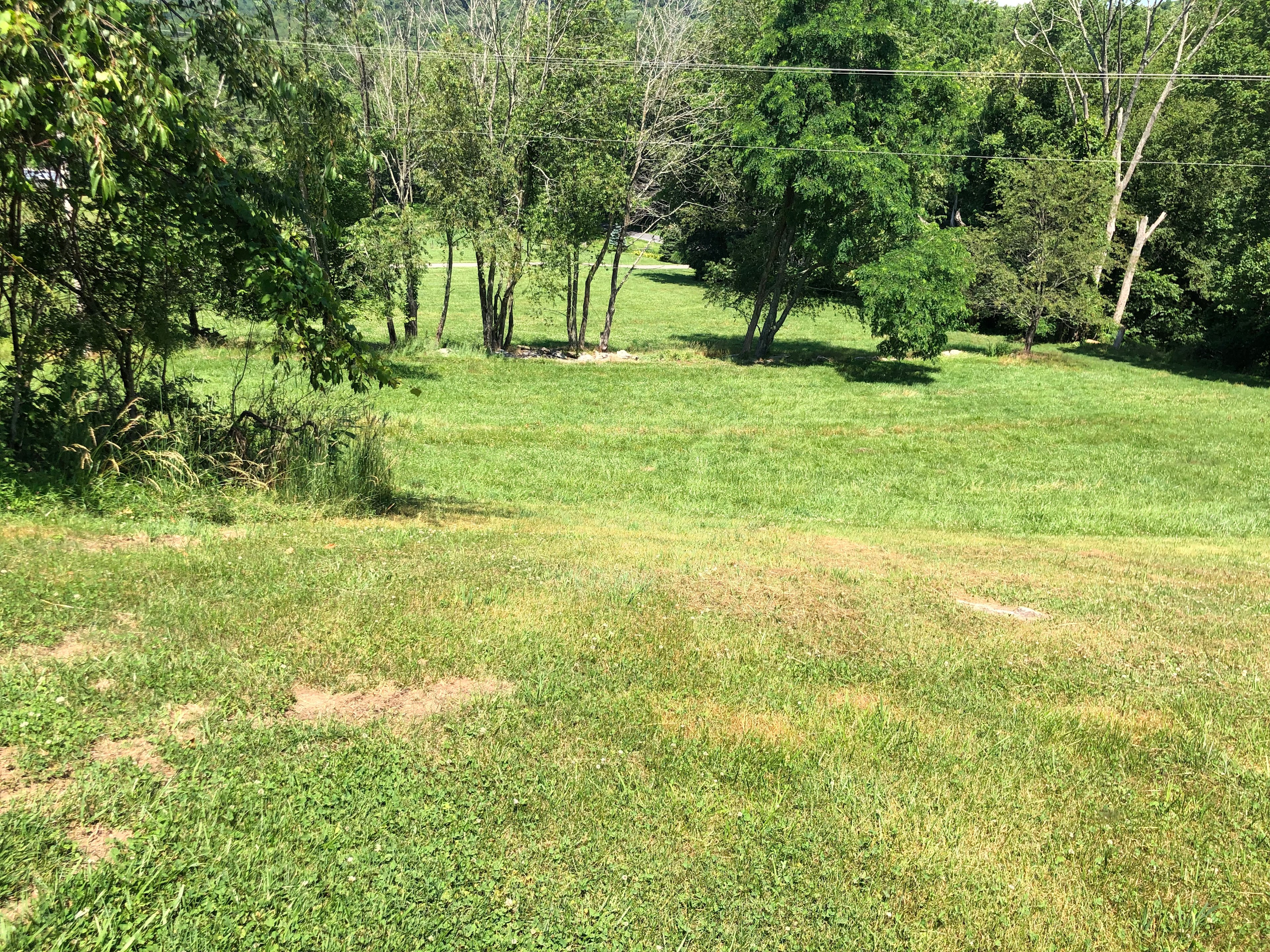 Deer haven campsites