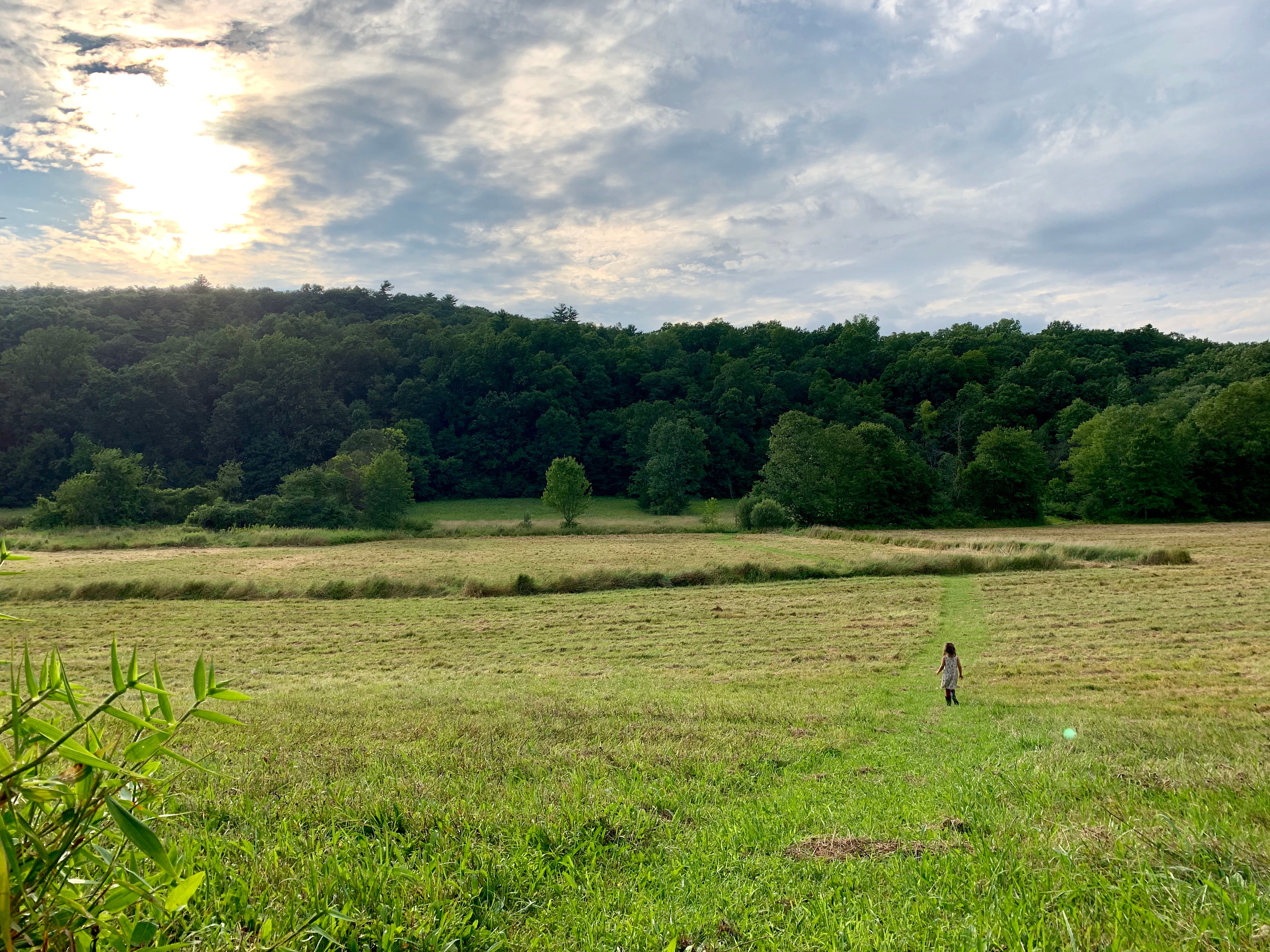North Field with a Larsen kid enjoying. 