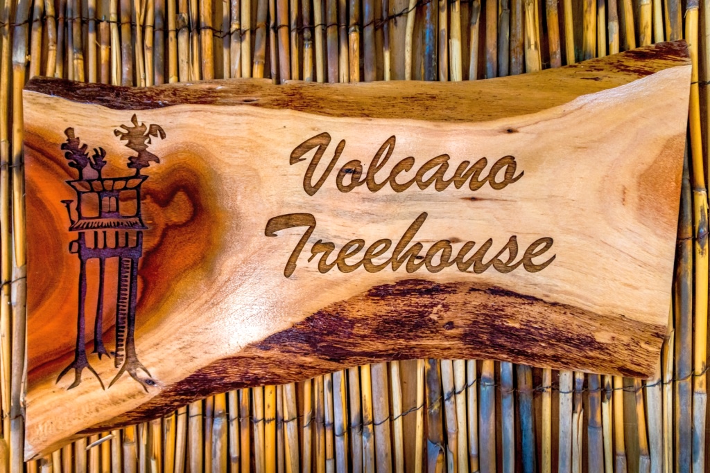 TreeHouse in canopy of trees