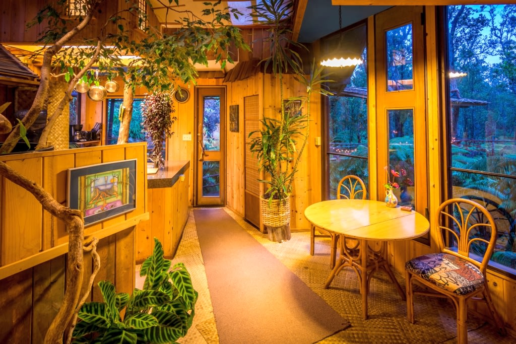 TreeHouse in canopy of trees