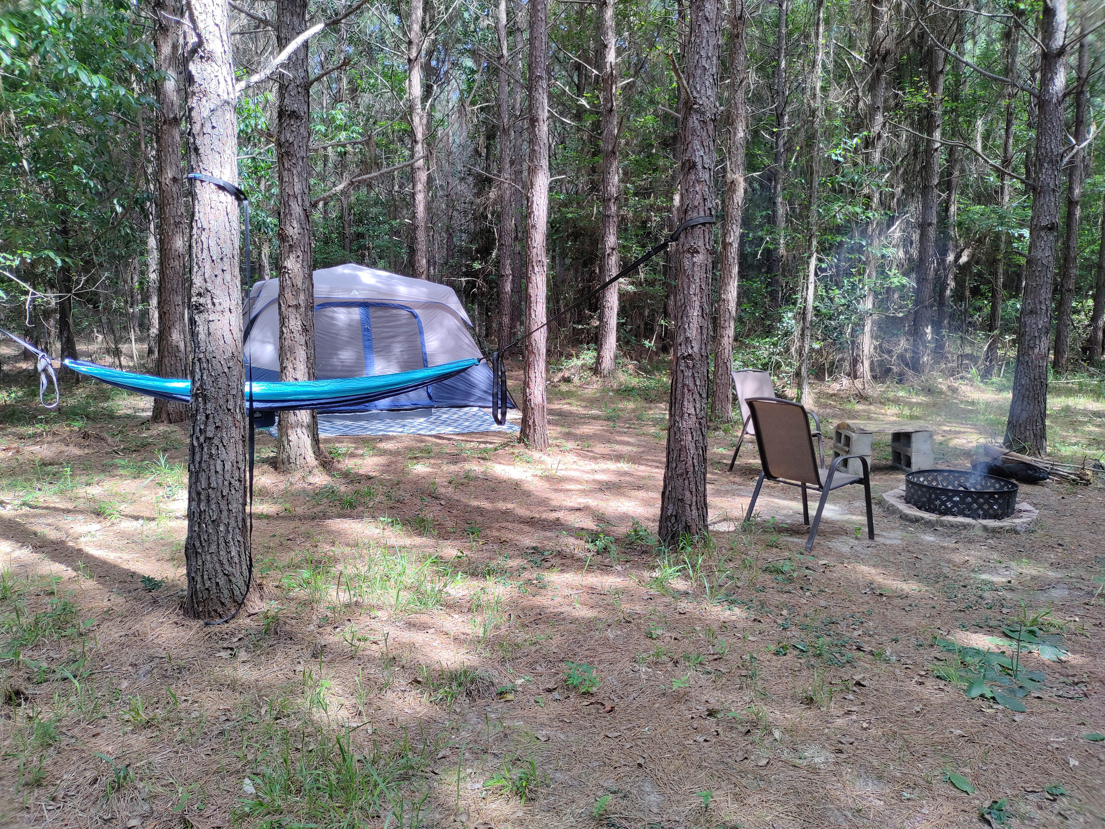 Donna I.’s Hammock hide away
