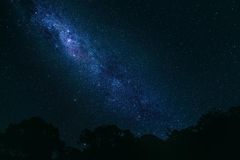 Night sky photo taken by Luke.