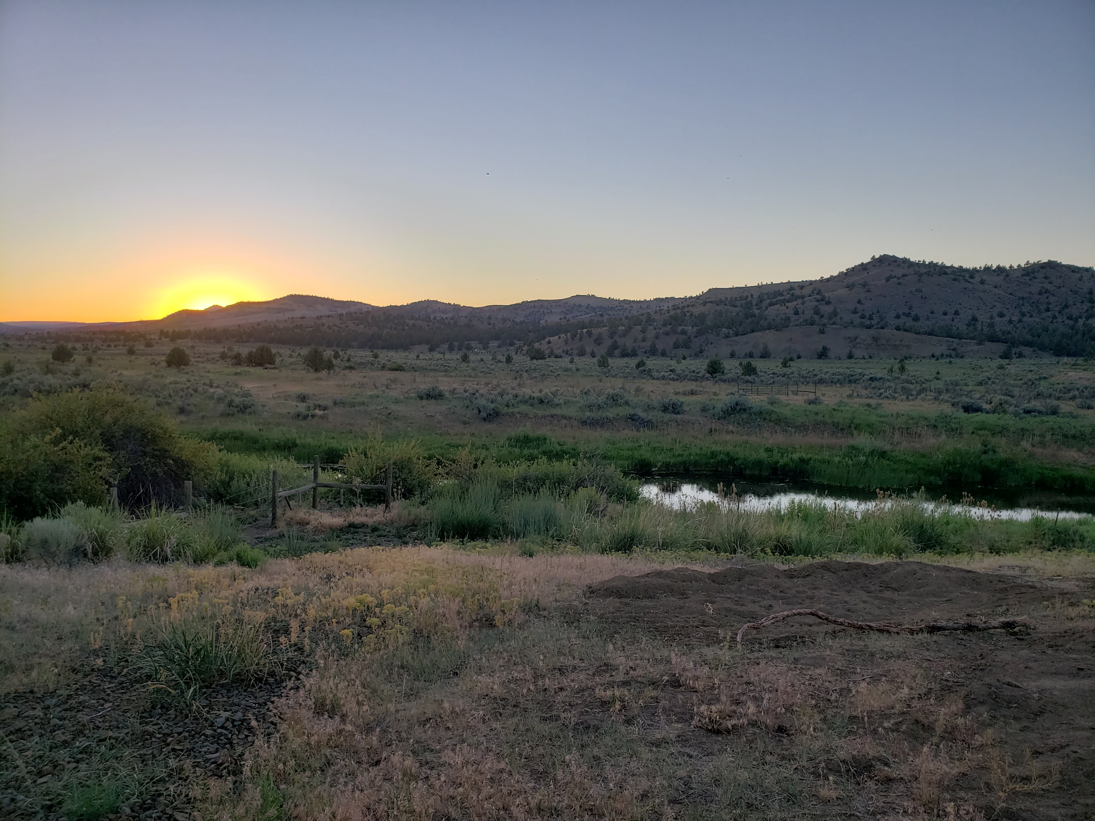 Buzzard's Roost