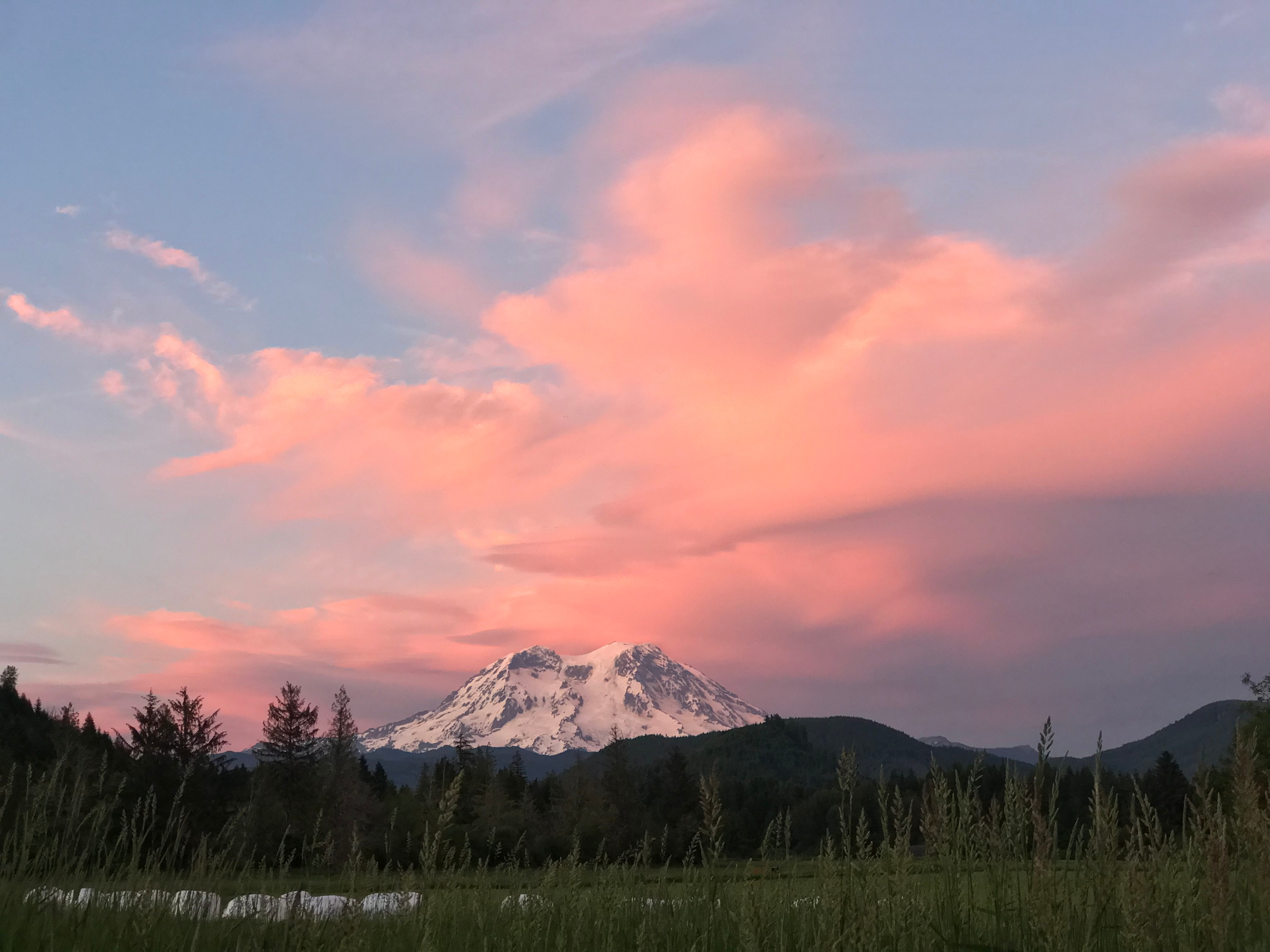 Misty Meadows Adventures Mt.Rainier