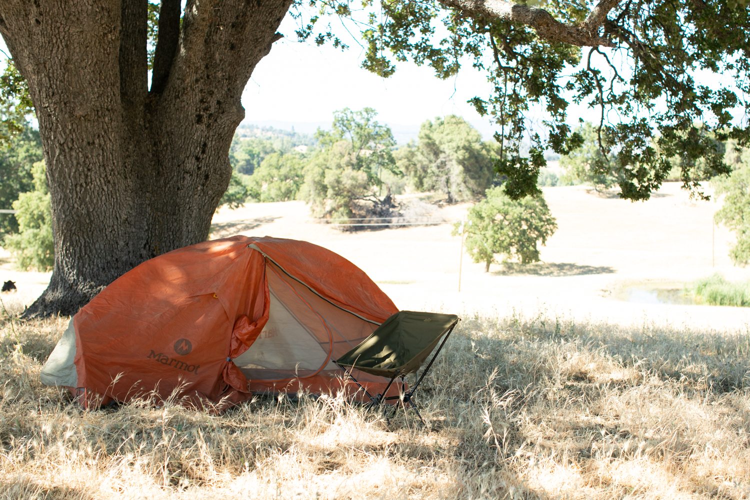 Setup camp underneath the oak tree