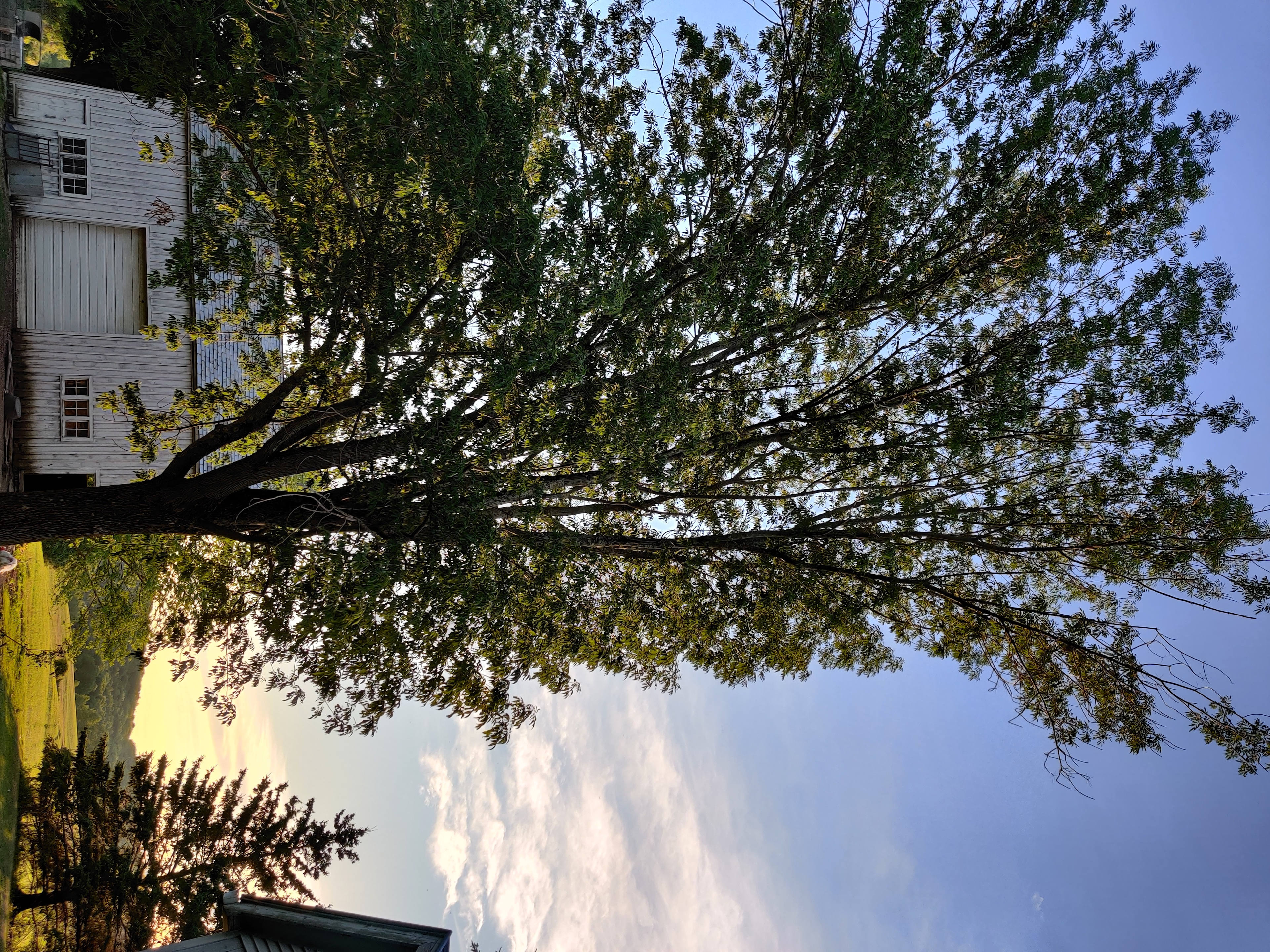 Dickensen Farm: Cabins & Camping