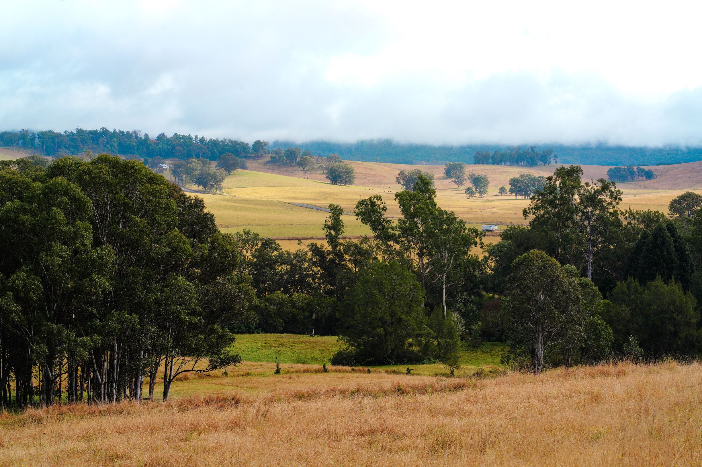 views from campsite 4