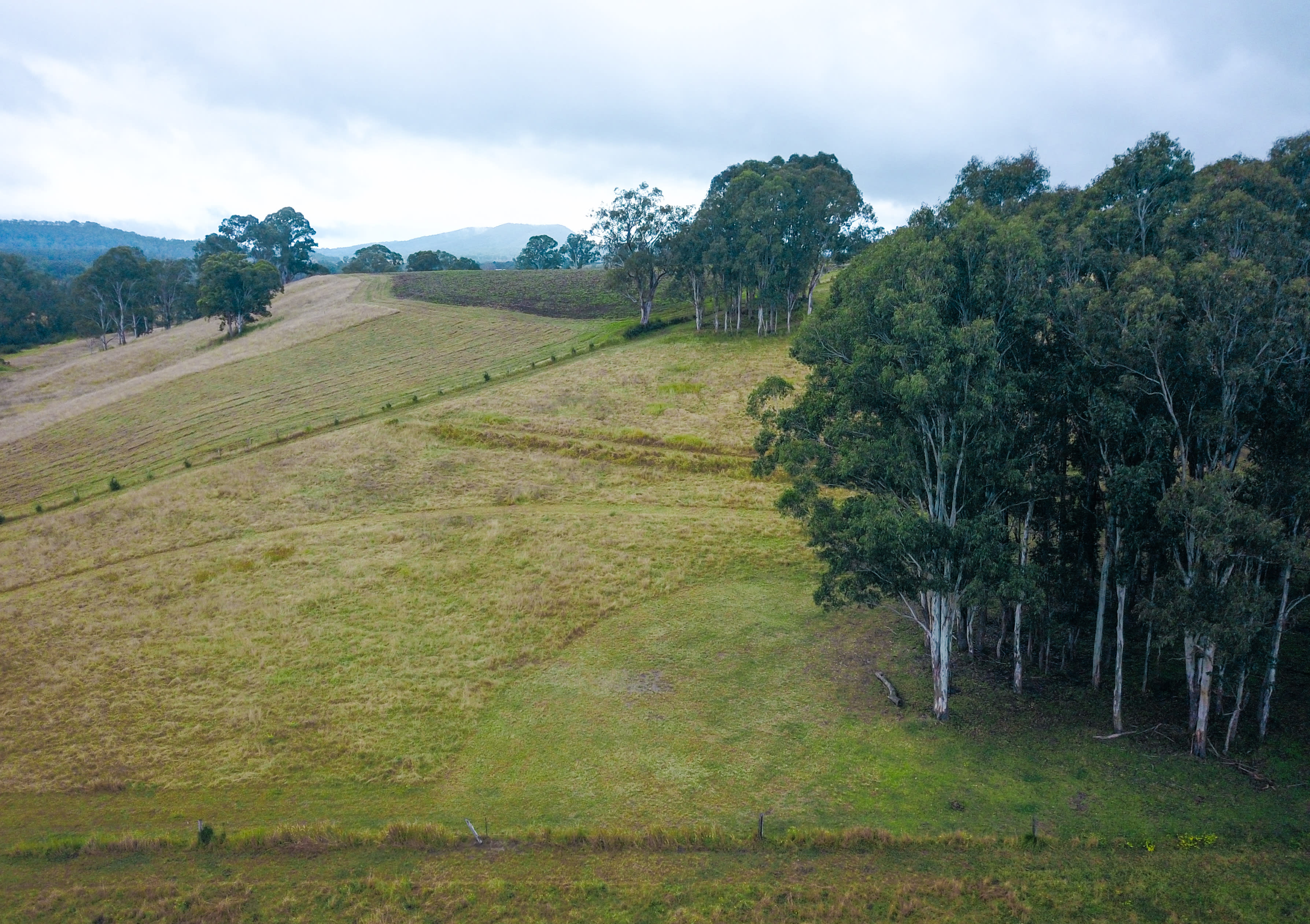 aerial view of campsite 5