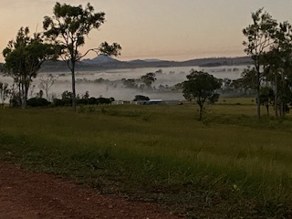 Tranquil View Camp