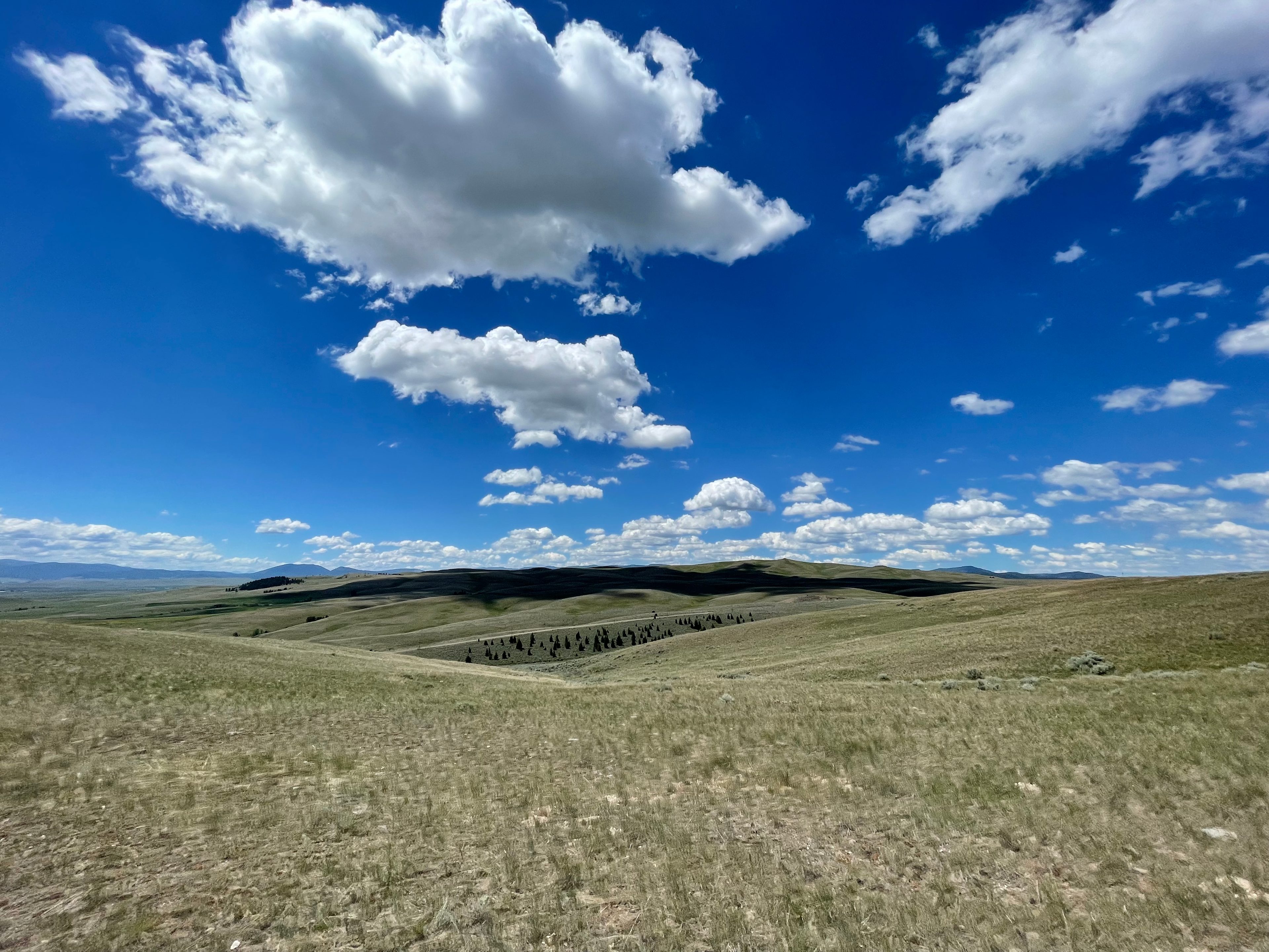 Montana Roots Adventure Company