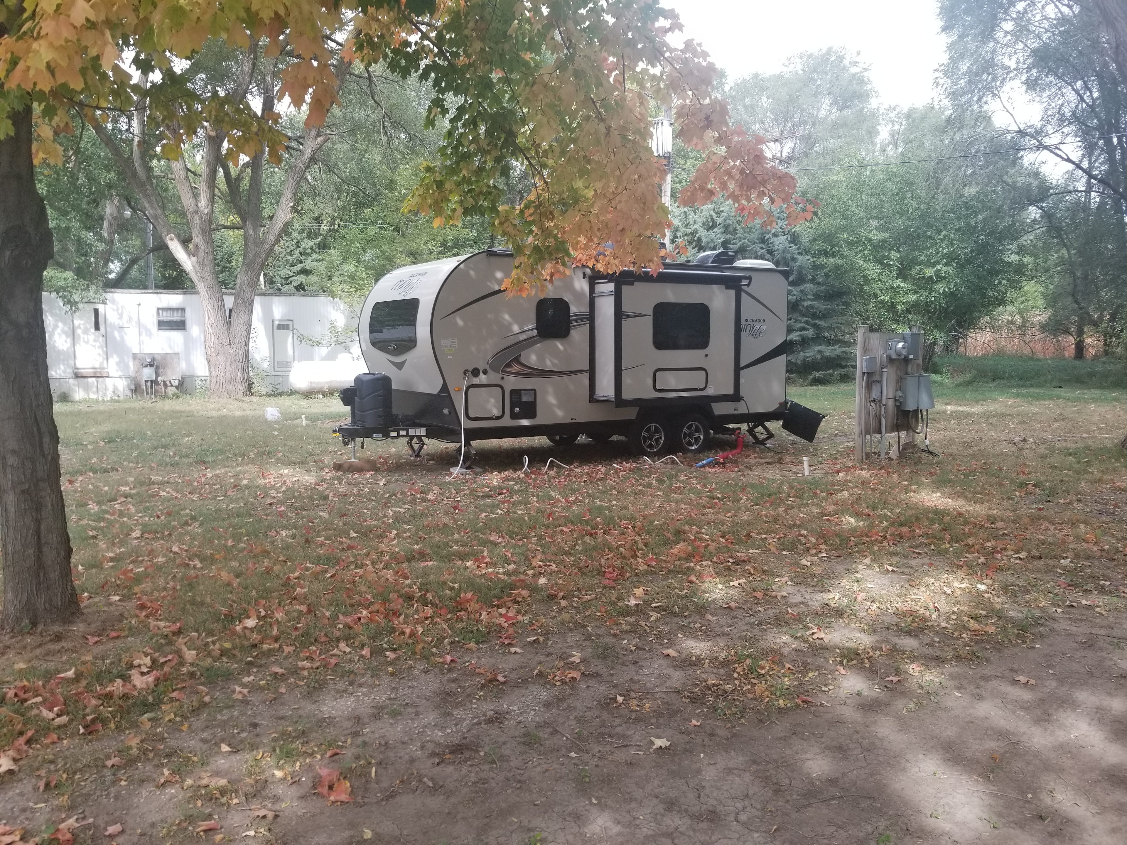 Site 7 
October 2020