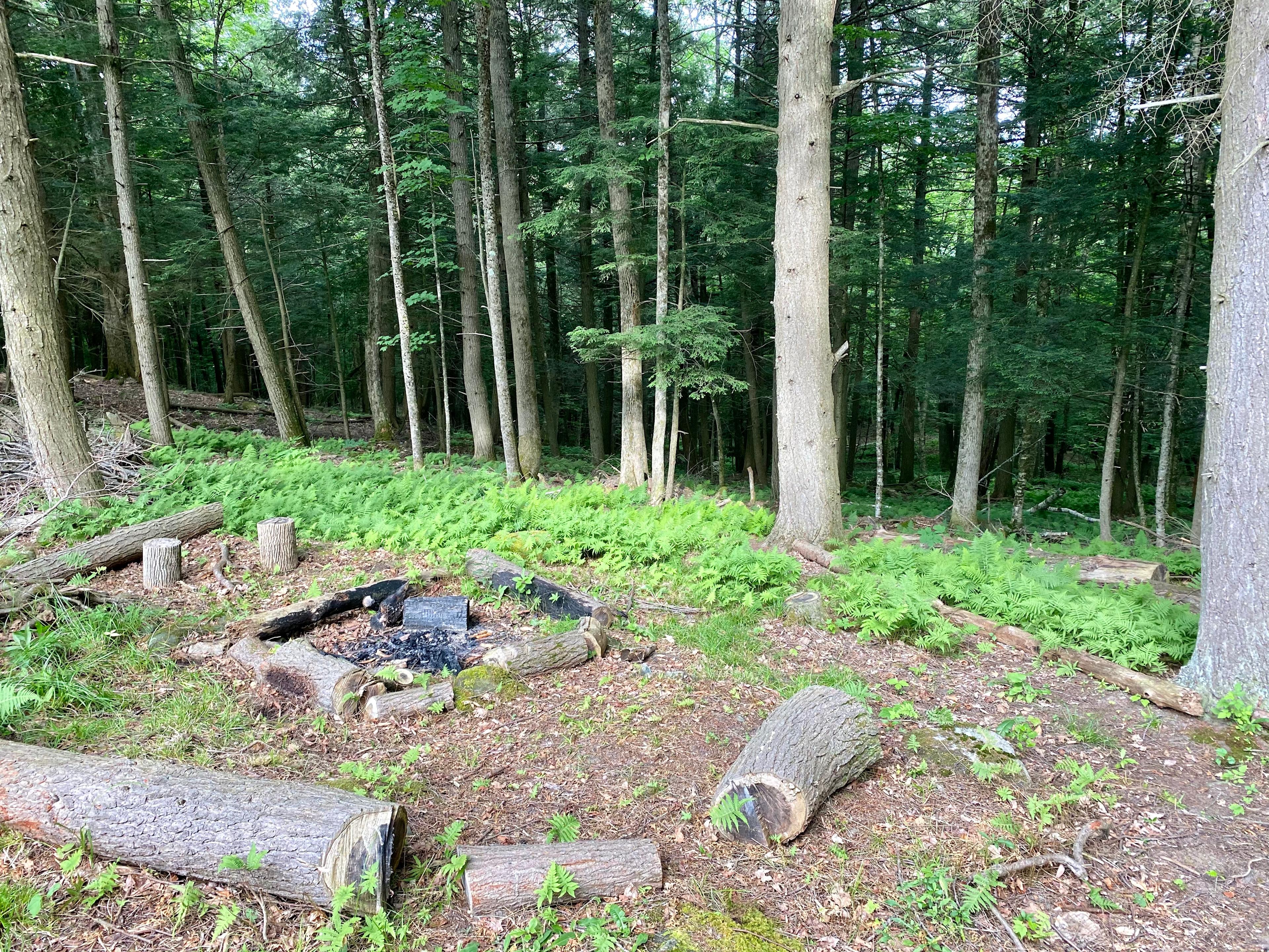 Large fire pit area with ample kindling and logs to burn. Please do not bring your own firewood. Tree diseases and invasive pests are spread that way.