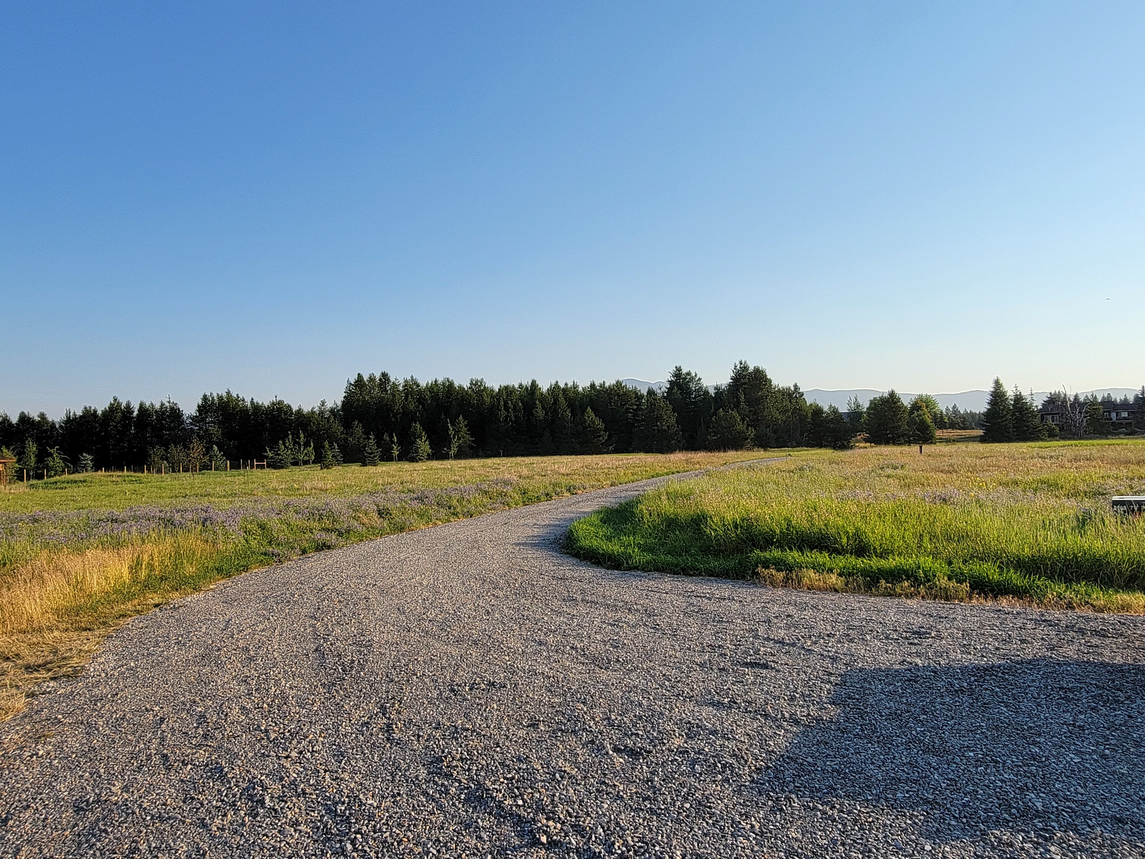 Waterfront Adventures
