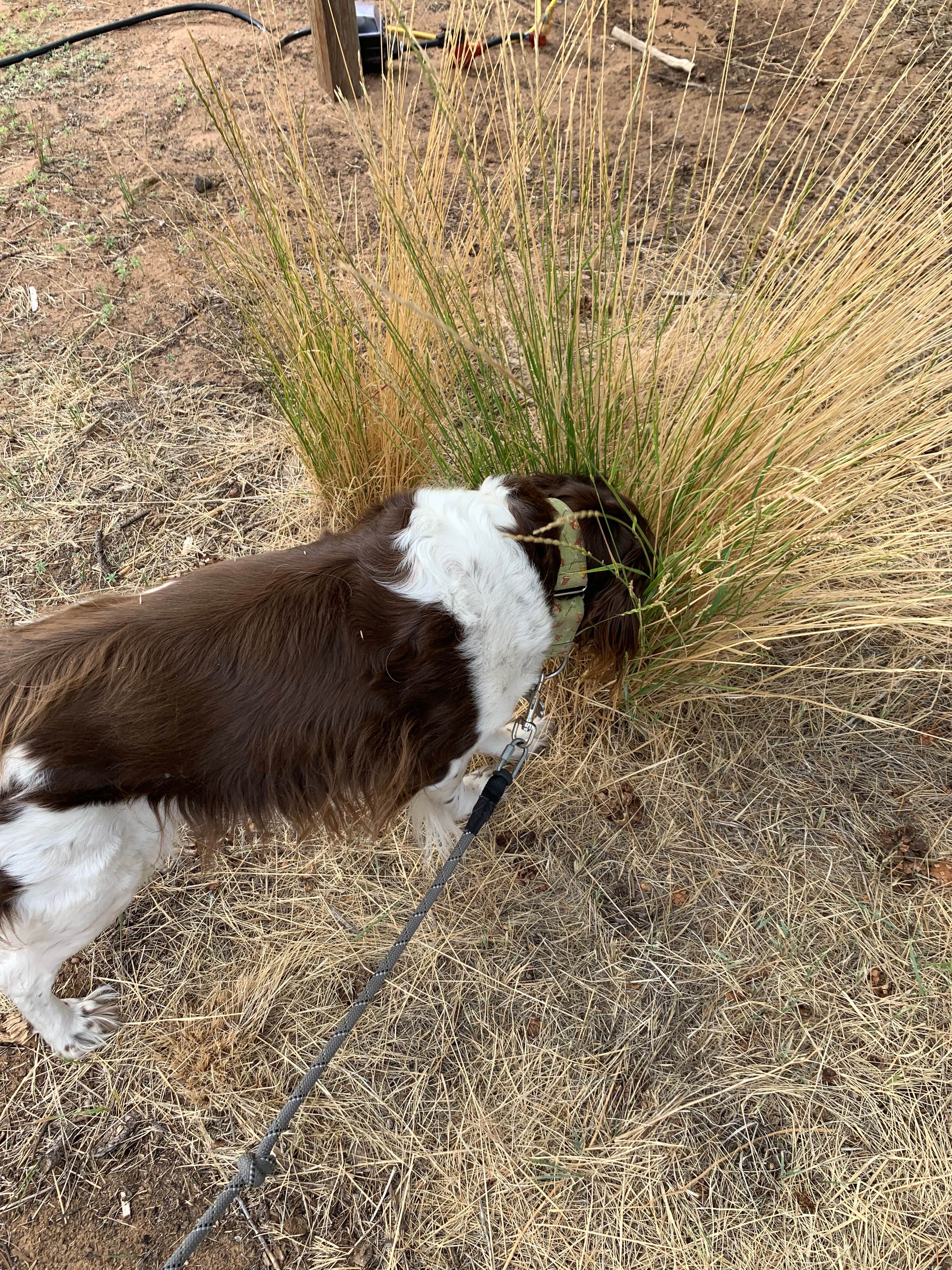 Road to the Sun Ranch