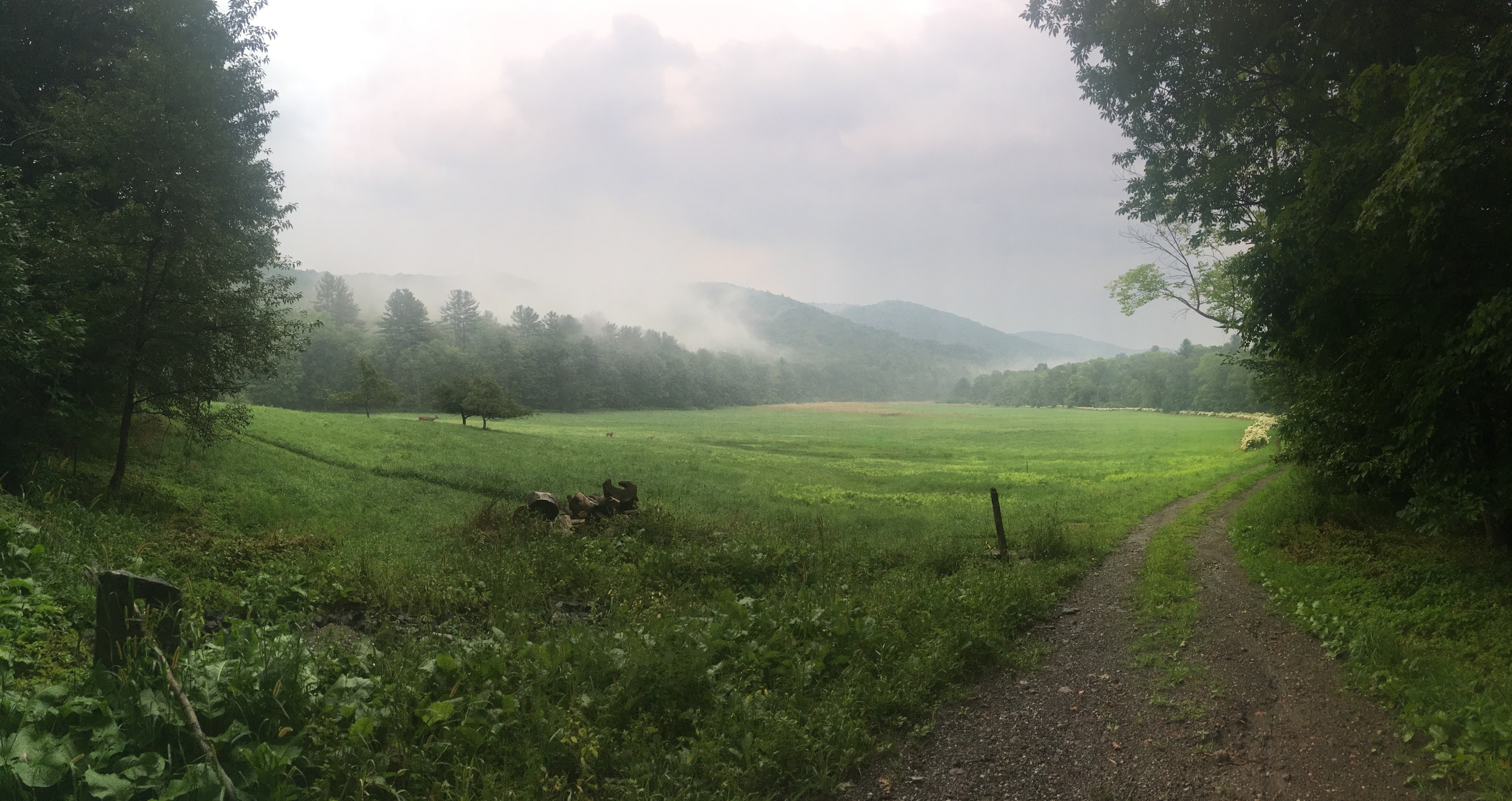 Along the Green River valley, about 1.5 miles from the Springs Farm and campsite