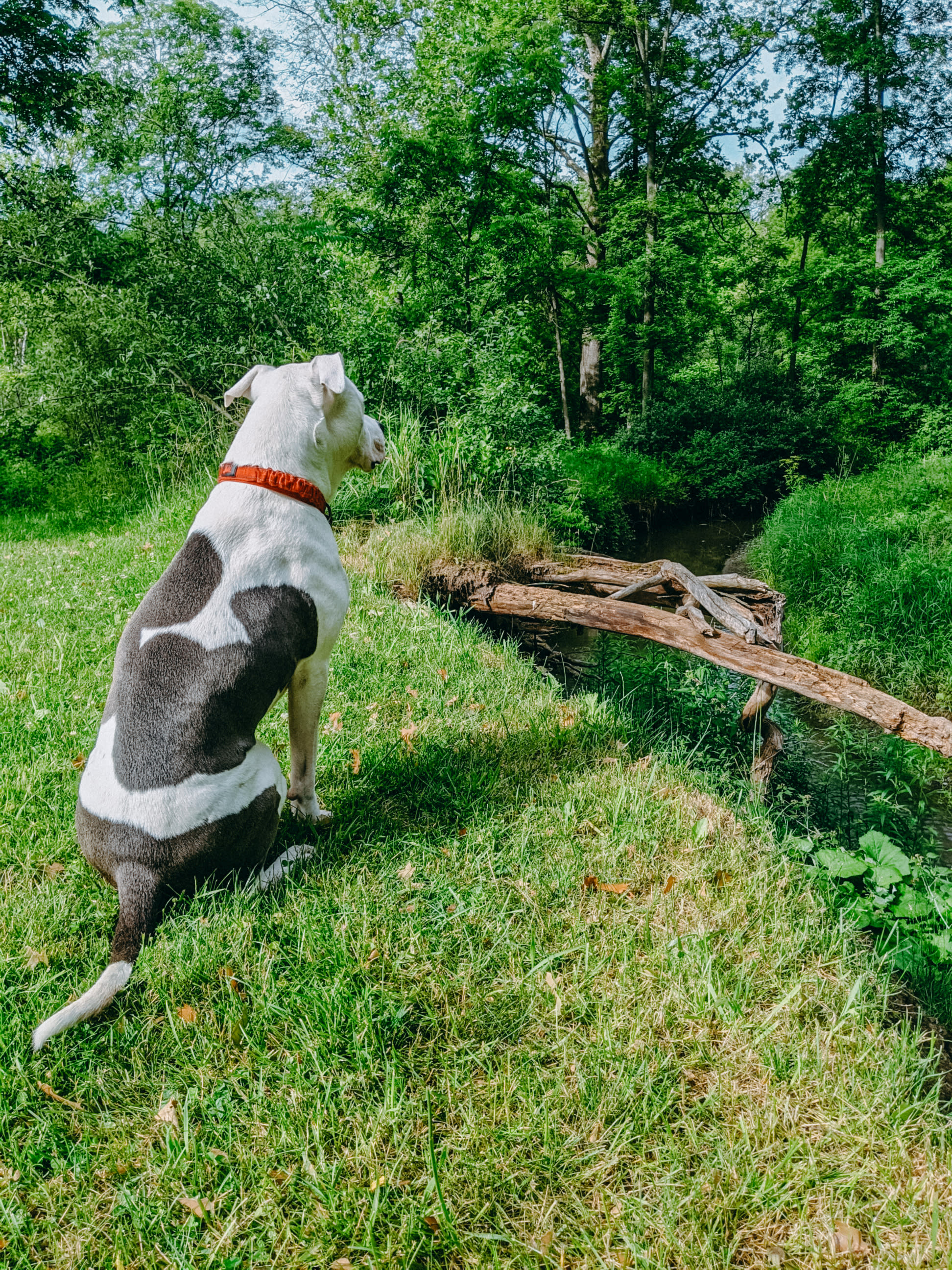 Peaceful Private Campground