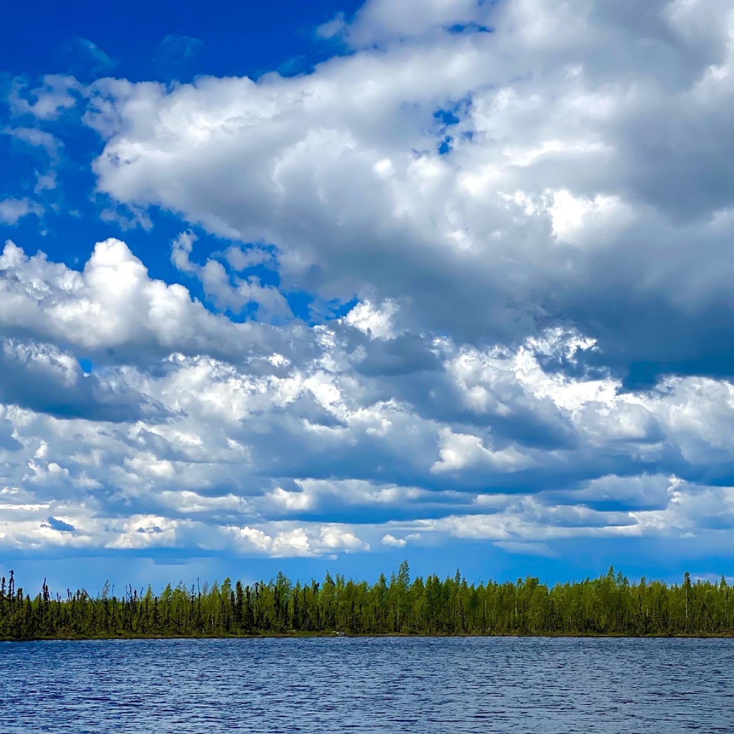 Salt & Yarrow Soul Sanctuary