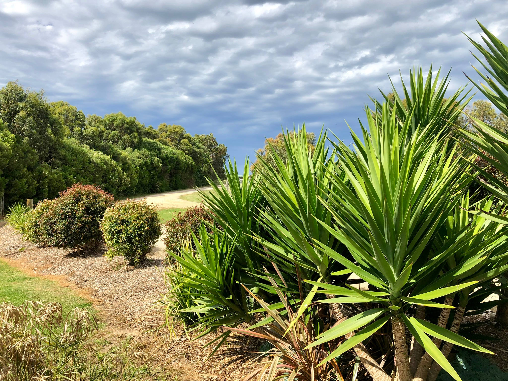 Bolwarra Bush Retreat