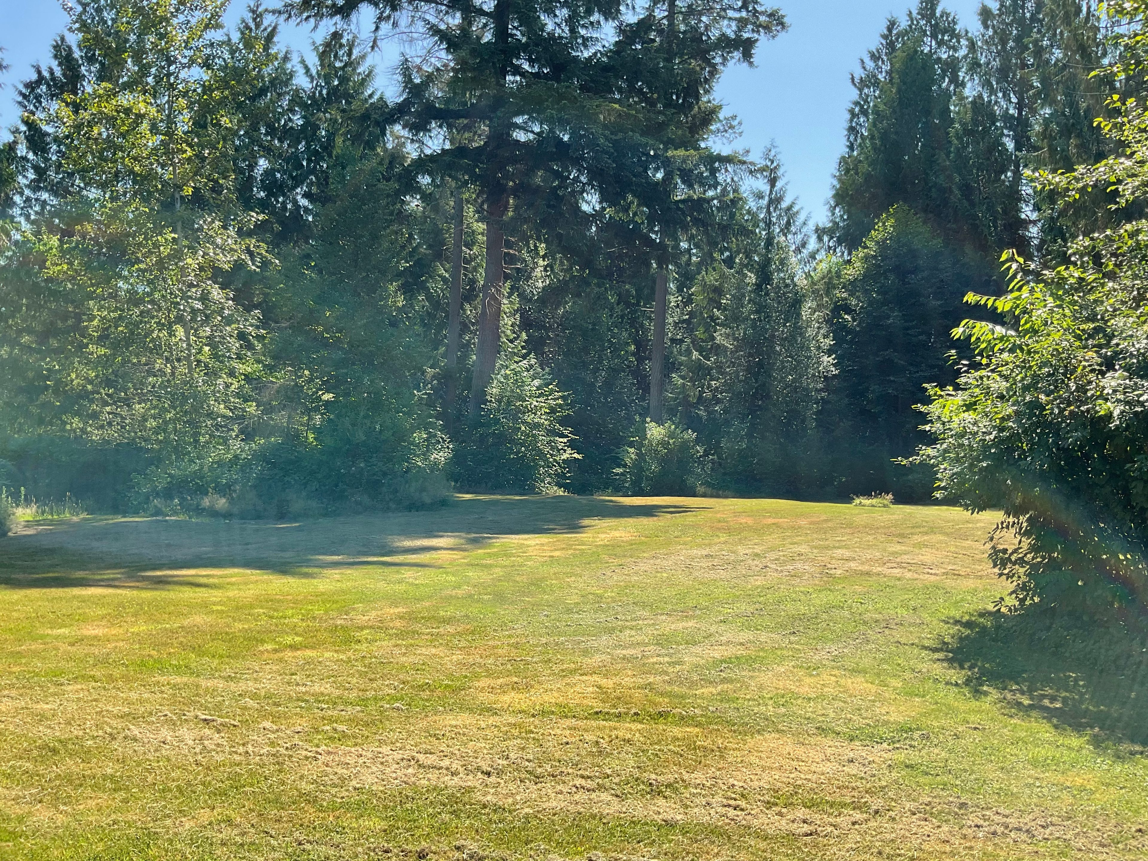 Private setting under tall trees