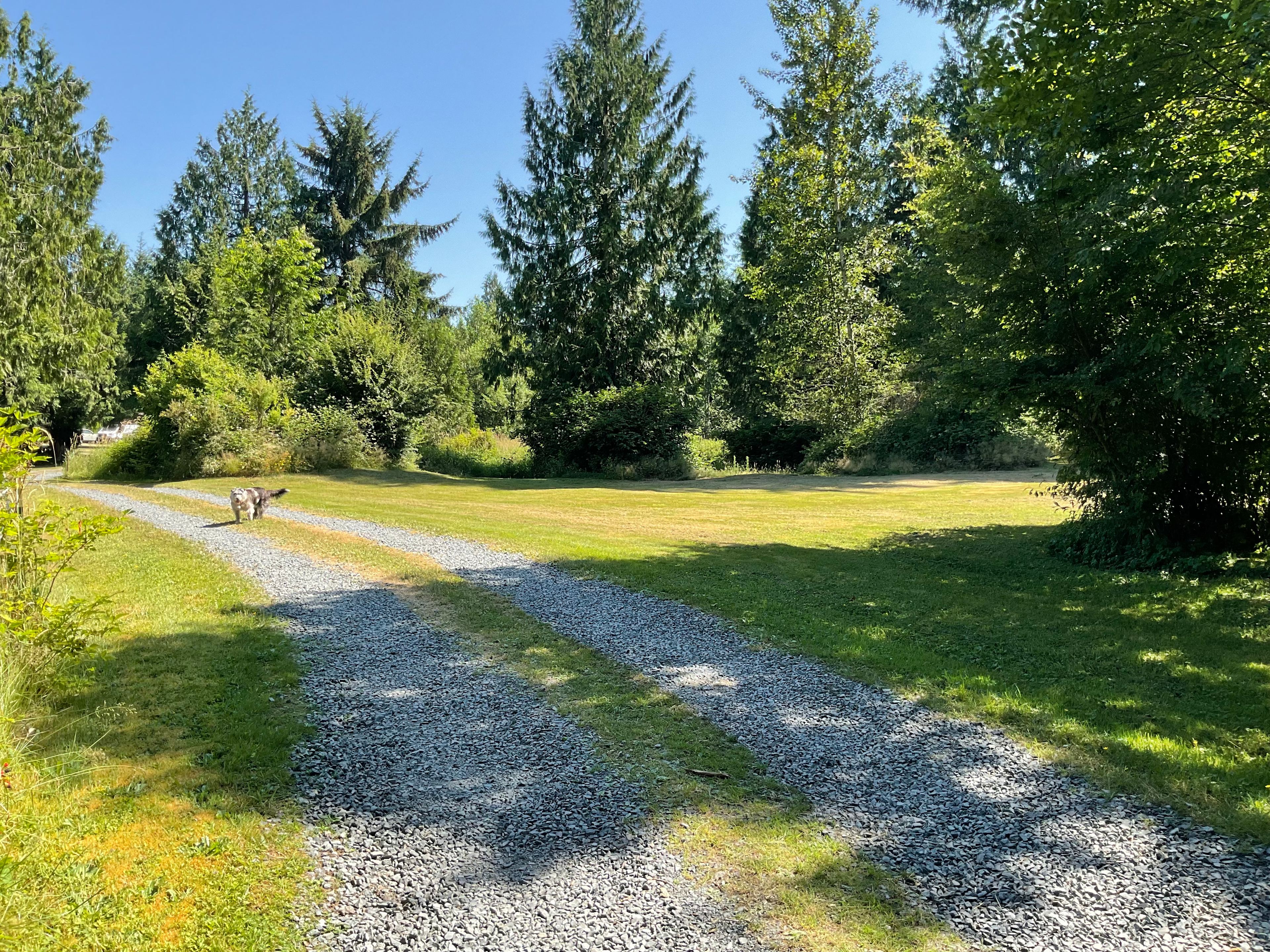 Private setting under tall trees