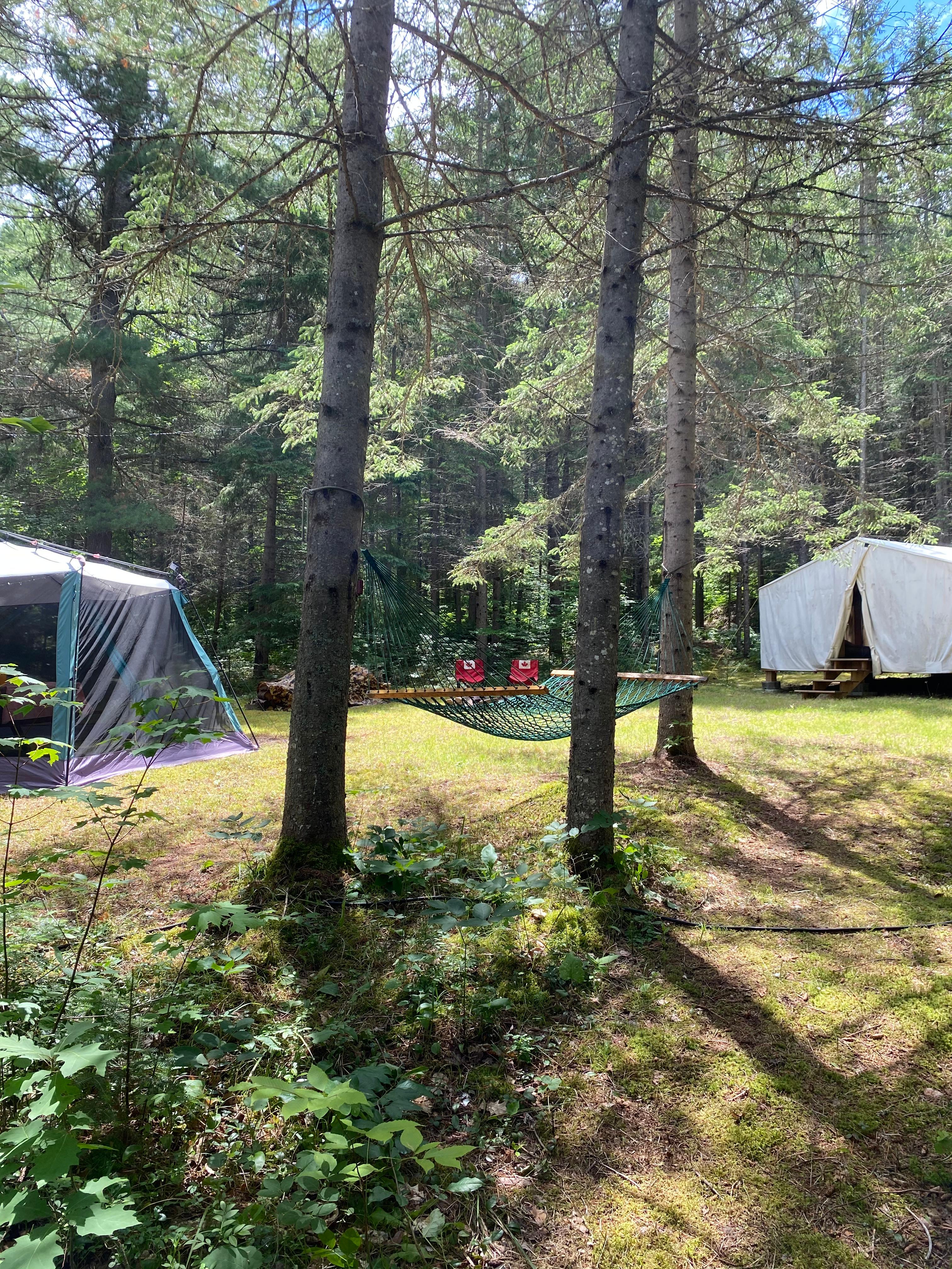 Glamping Under the Stars