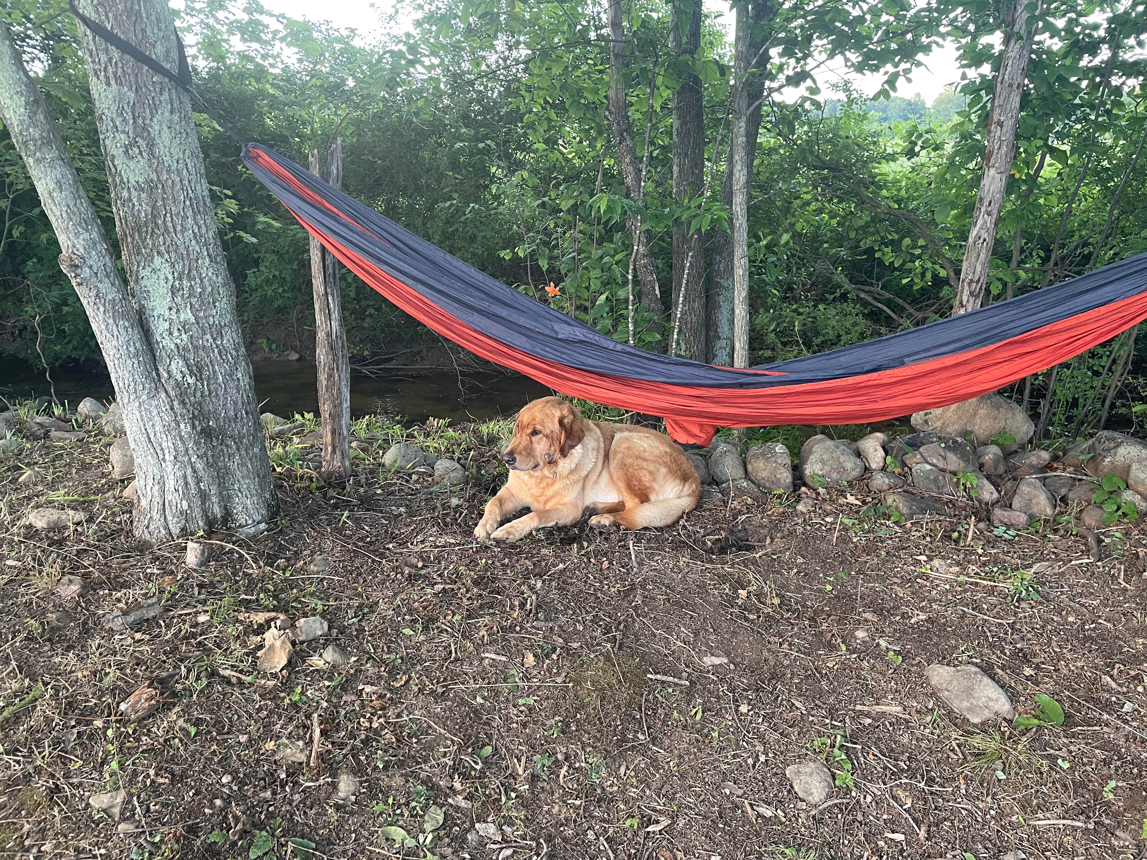 Faithful Harvest Farm Camping