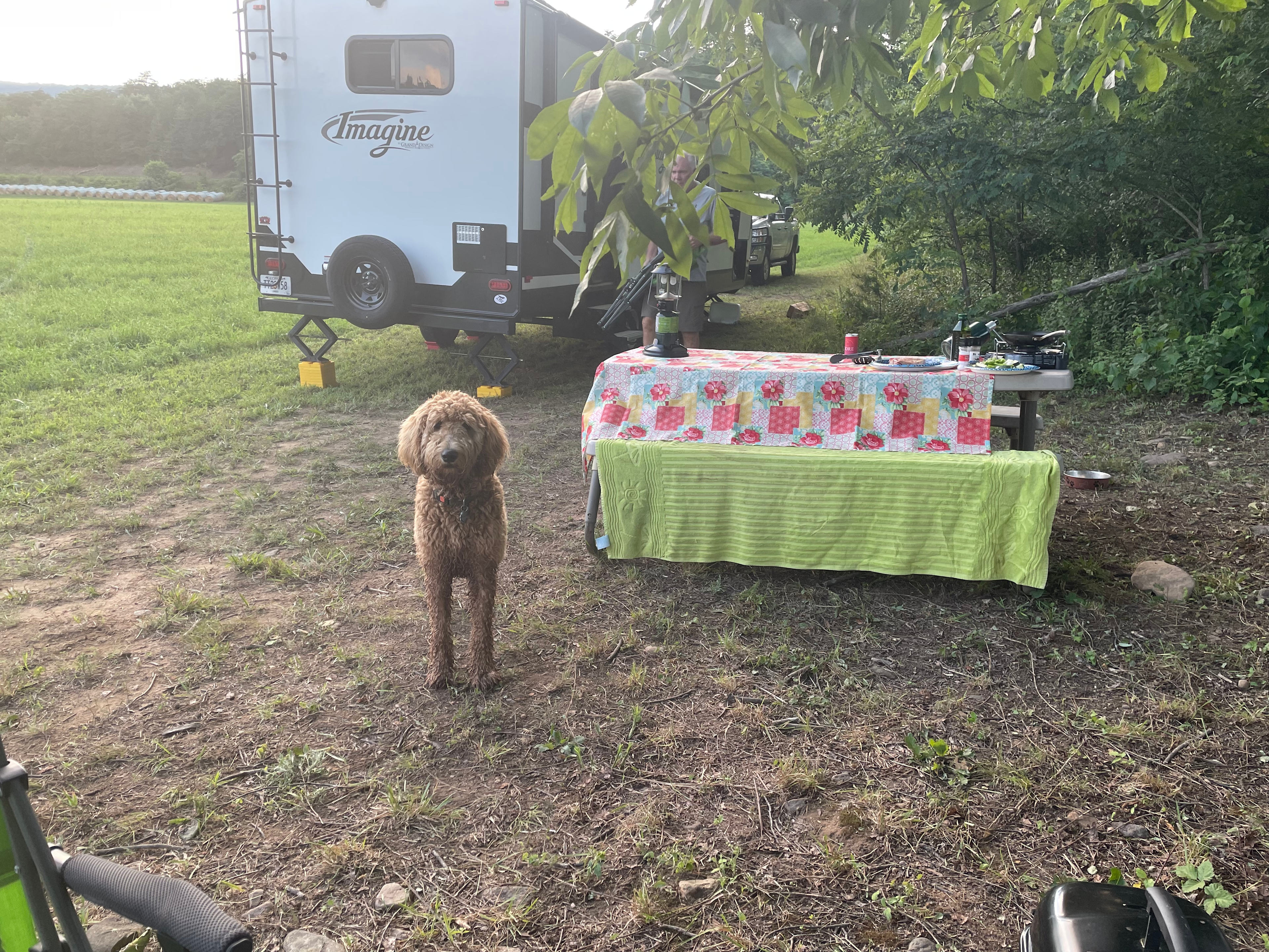 Faithful Harvest Farm Camping